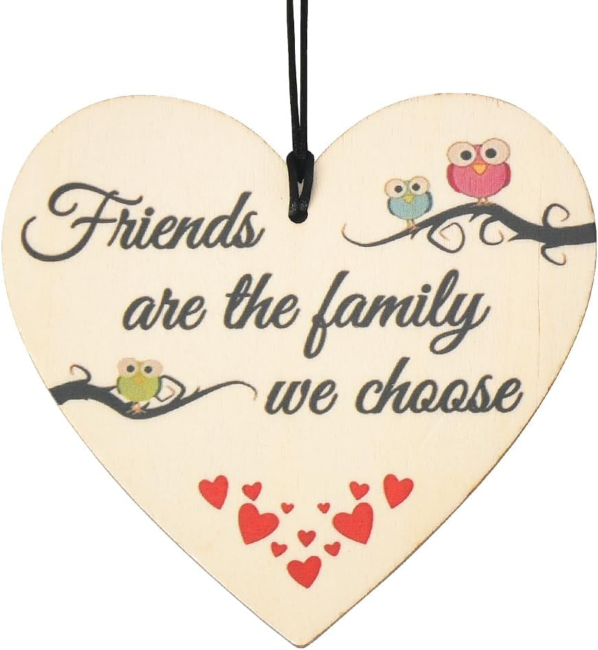 Best Friend Gift Ornaments for Women Girls BFF Friendship Ornament, Bestie Birthday Gifts, Female Friends Themed Party Decorations, Hanging Wall Decor Sign Plaque