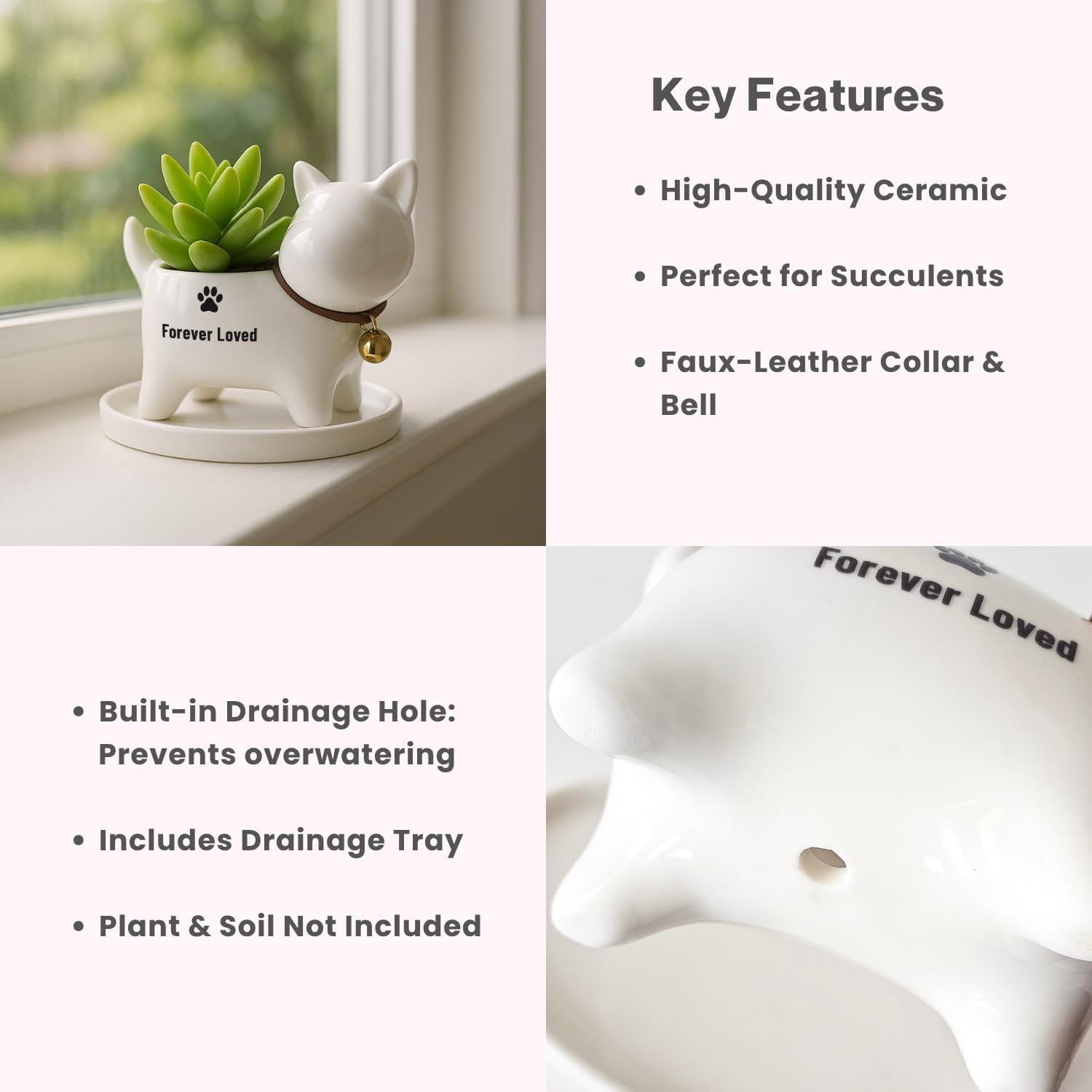 Ceramic Dog Memorial Planter Forever Loved Pot & Tray, Ideal for Succulents, Cacti, and Mini Plants image number 2