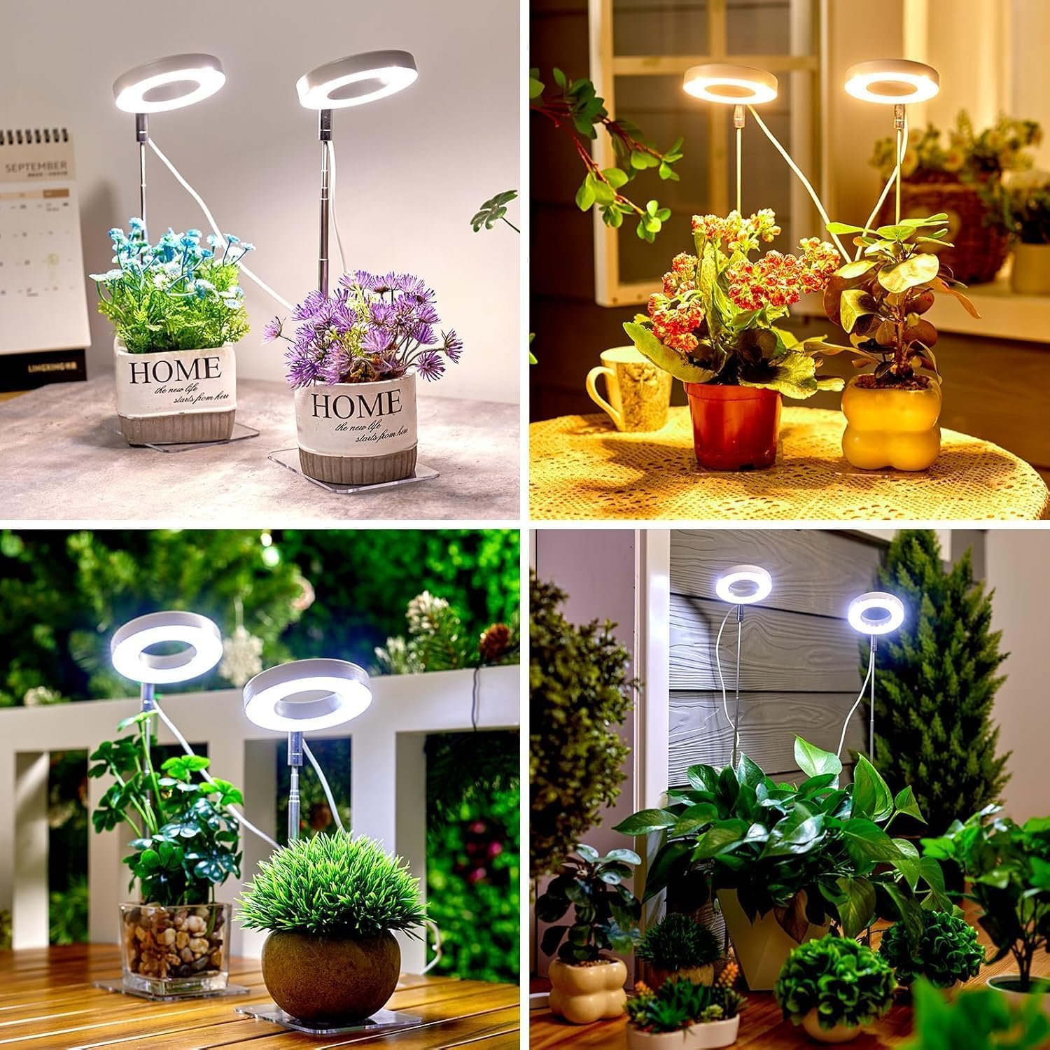 Plant Grow Light, LED Growing Light for Indoor Plants, 2 Head 48 LED Adjustable Height Growing Lamp with Timer, 3 Dimmable Brightness Levels, Low Safe Voltage, Perfect for Small Plants (White) image number 4