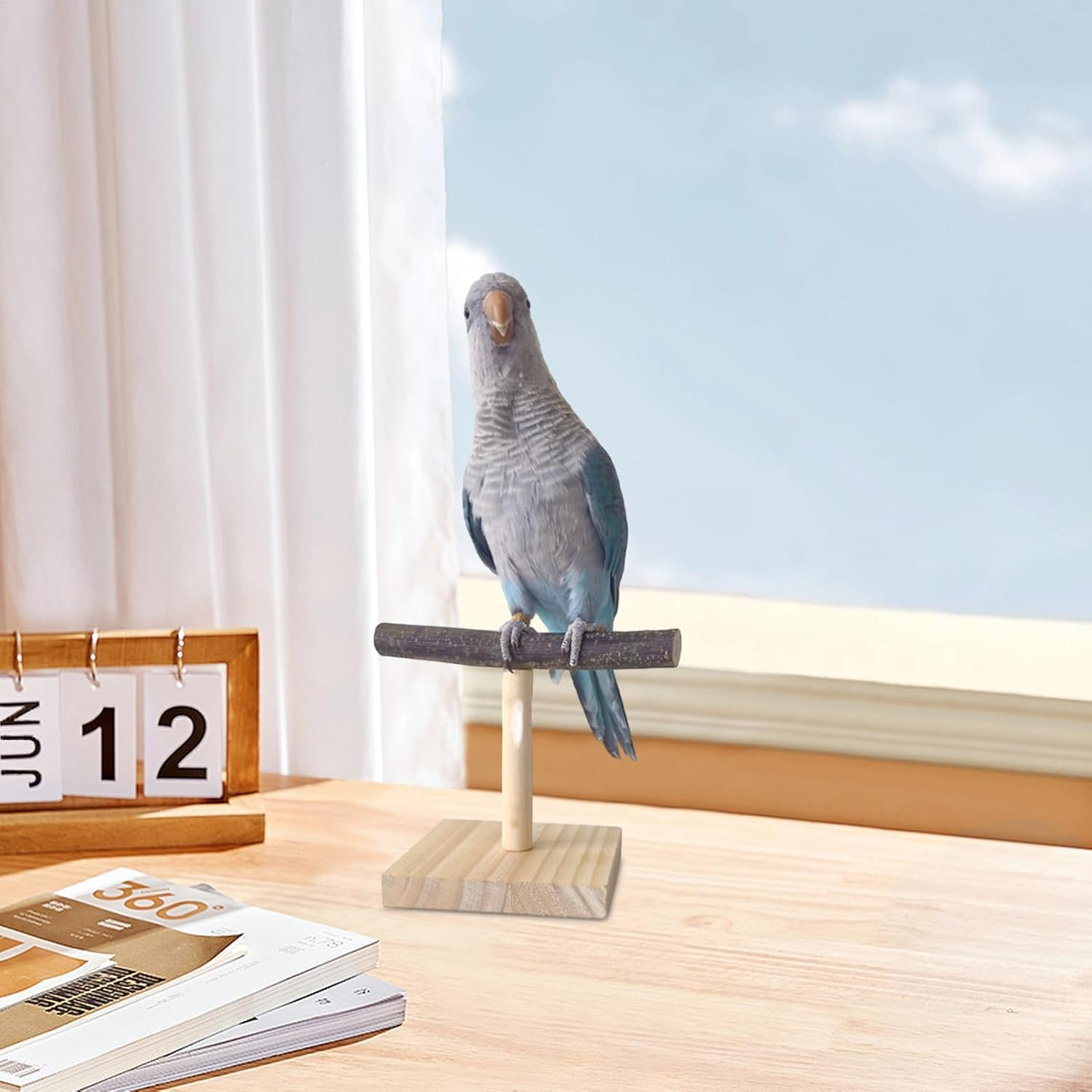Parrot T Perch - Resting Spot Portable Bird Trainiing Playground | Feeding Training Wooden Parroot Staand | Birrd Play Stand for Macaws Cockatiels African Greys image number 5