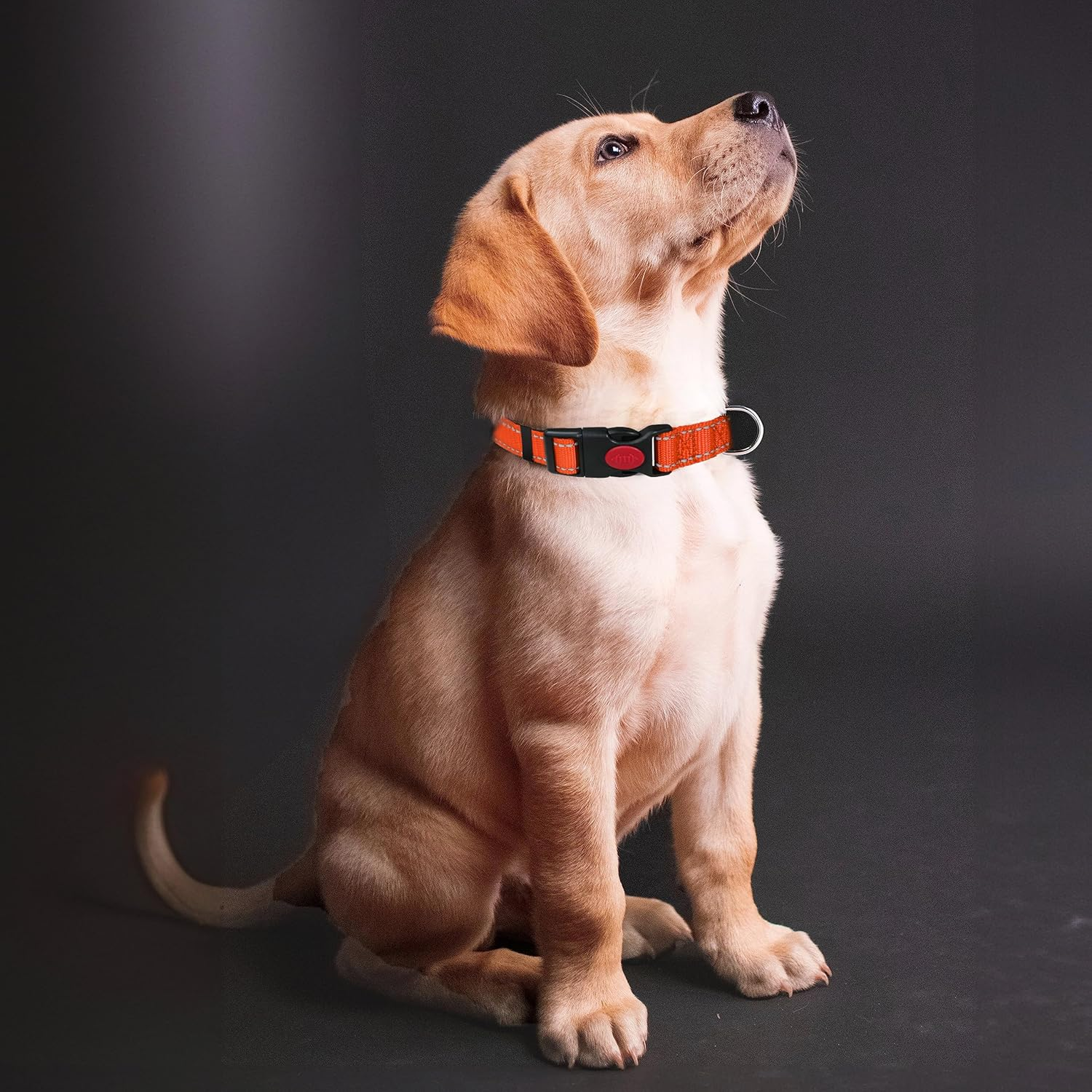 Reflective Nylon Dog Collar with Safety Buckle, Adjustable Pet Collars with Soft Neoprene Padding (Orange, M) image number 6