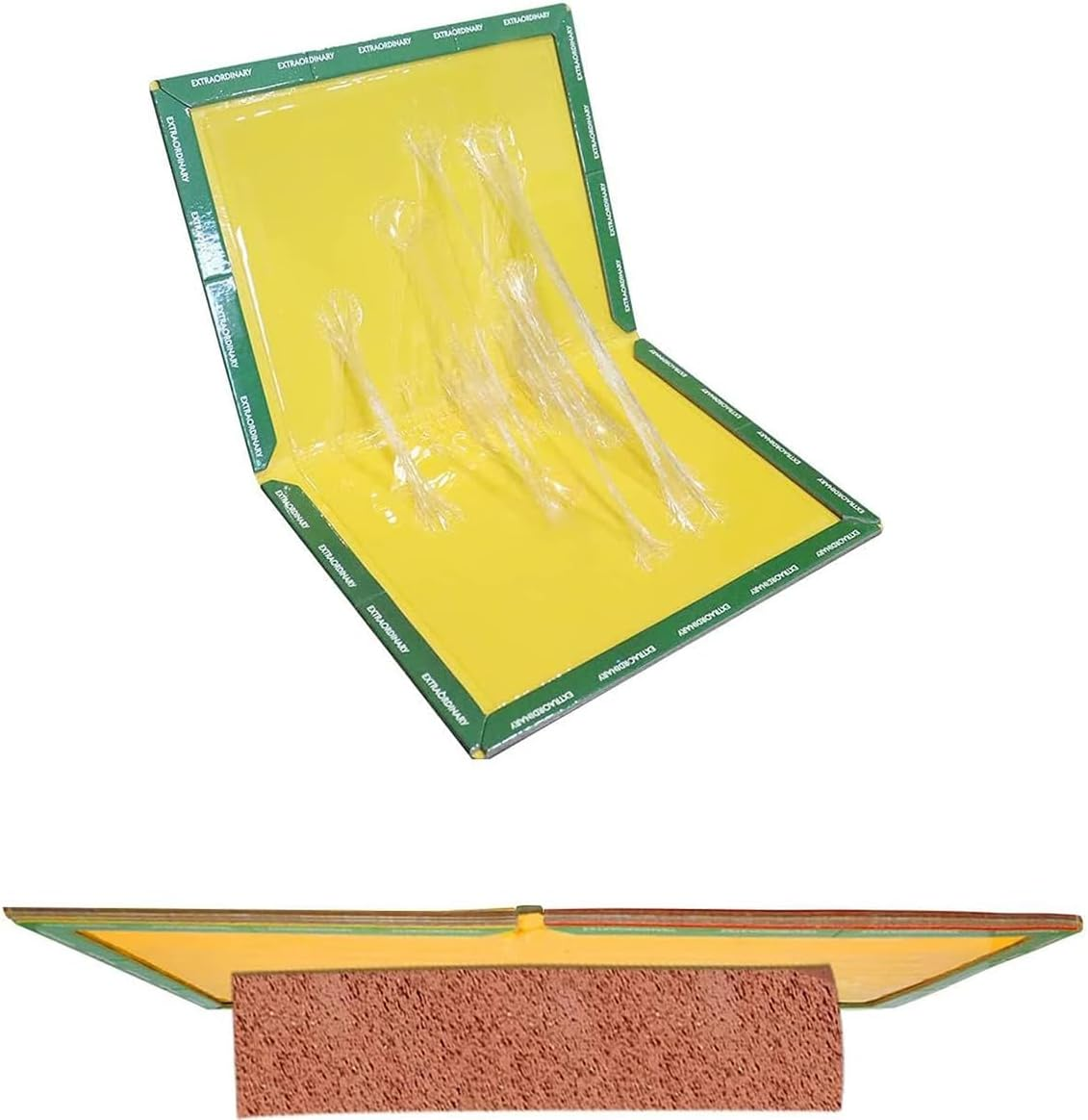 Sticky Traps,Adhesive Board,Suitable for Various Traps,Super Strong Adhesive Pad,Efficient Foldable Adhesive Trap Board,Indoor,Outdoor Garage Kitchen Garden Traps(10Pack)