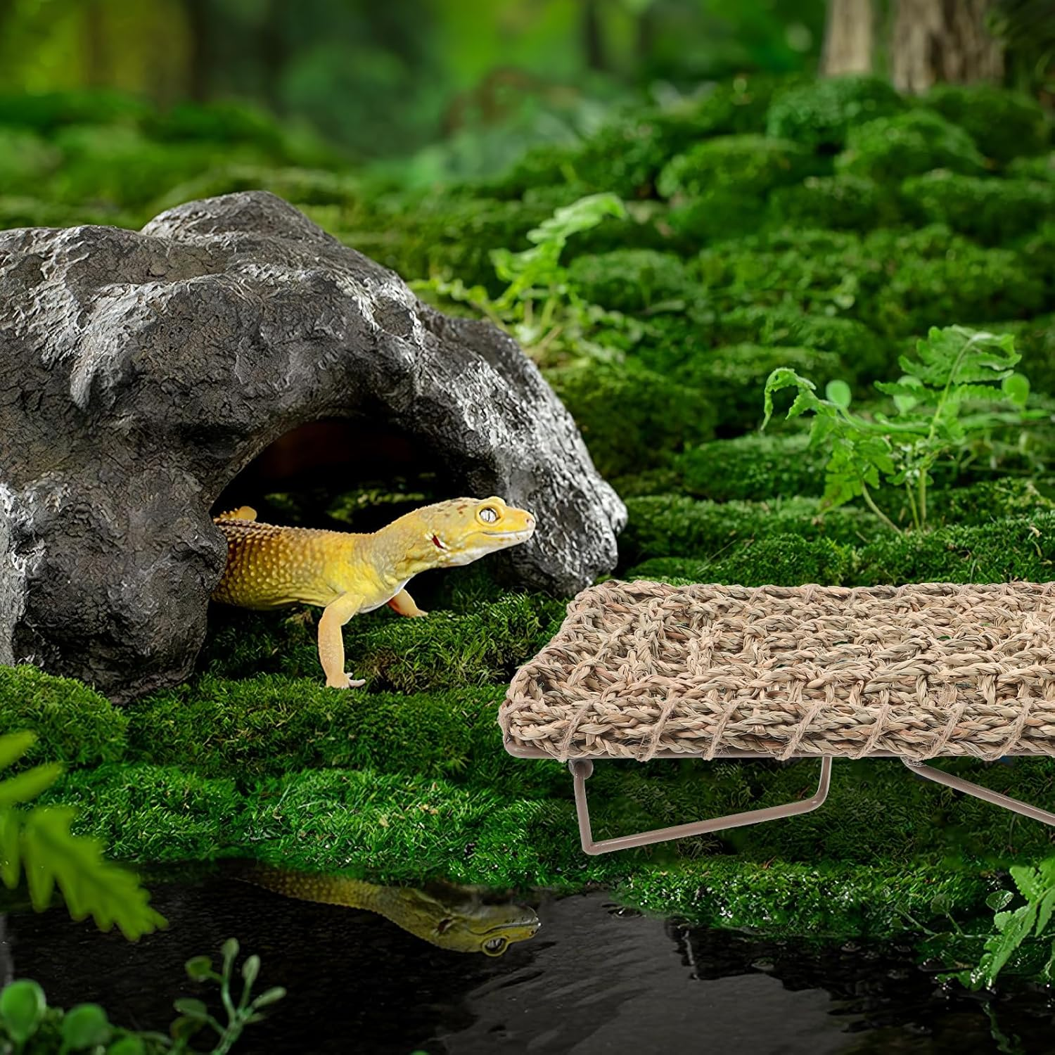 POPETPOP Lizard Lounger for Rest, Reptile Hammock Bed Seagrass Lounger Reptile Climbing Lounger Dragon Tank Accessories for Small Animals Guinea Pig Bearded Dragon image number 3