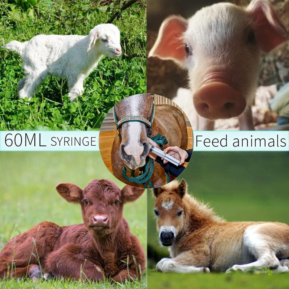 5Pcs 60Ml Plastic Syringe with Caps No Needle,Plastic Syringe with Cap Disposable Feeding Syringe Sterile Package Measuring Syringe,Large Plastic Sterile Syringes without Needle for Pet Feeding image number 1