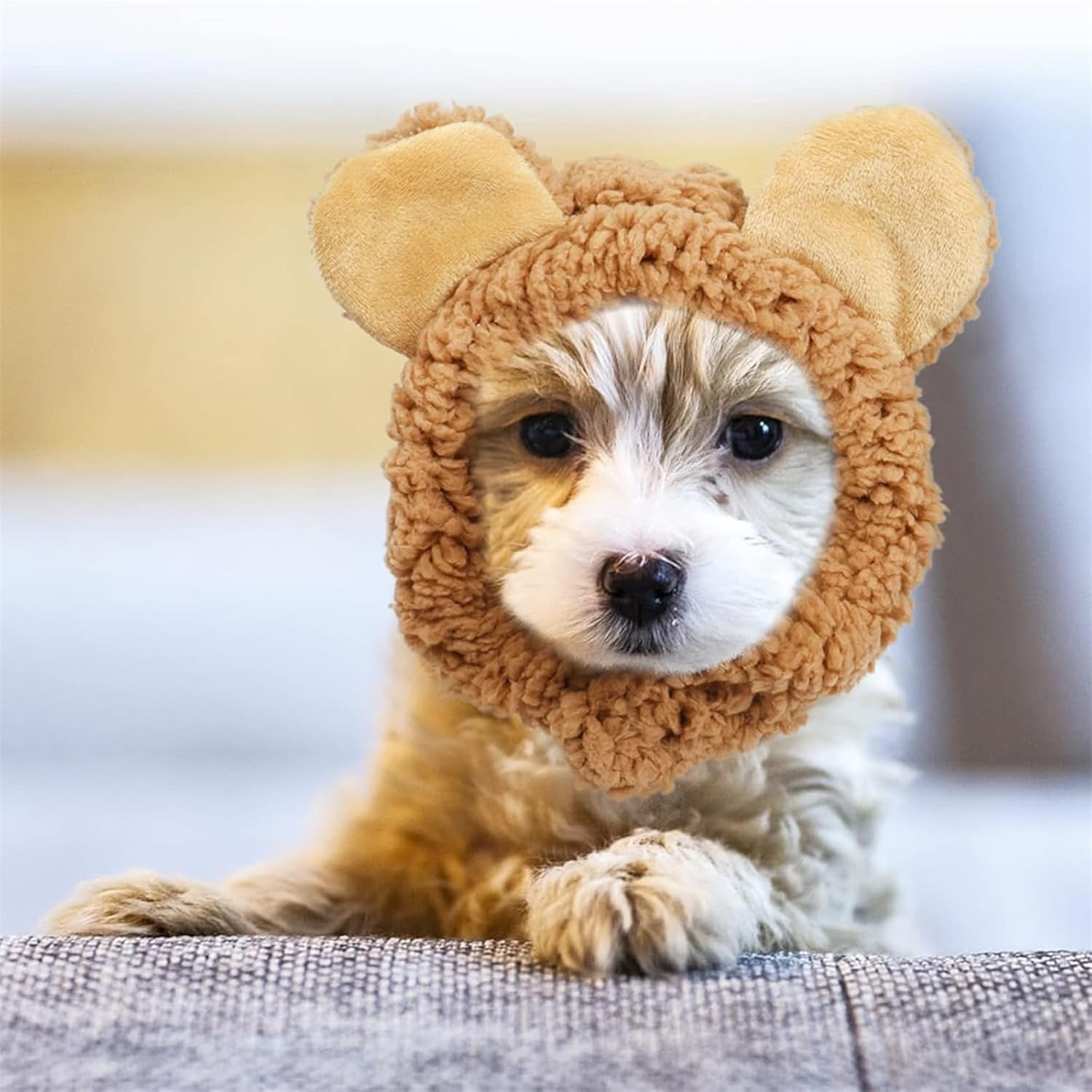 Costume Hat for Cats and Dogs, Adjustable Warm Bear-Ear Headwear, Soft Comfortable Small Pet Accessory (Brown) image number 6