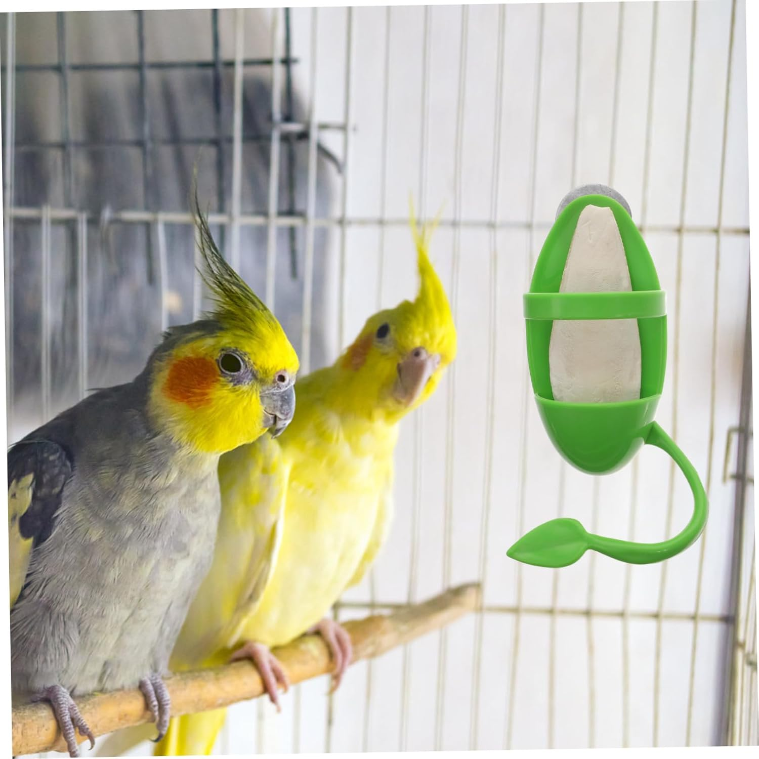 JOINPAYA 3Pcs Cuttlebone Parrot Feeding Rack Set Hanging Cuttlefish Bone Holders for Bird Cage Accessories, Pet Supplies for Parrots, Suitable for Bird Feeding and Calcium Supplement image number 6