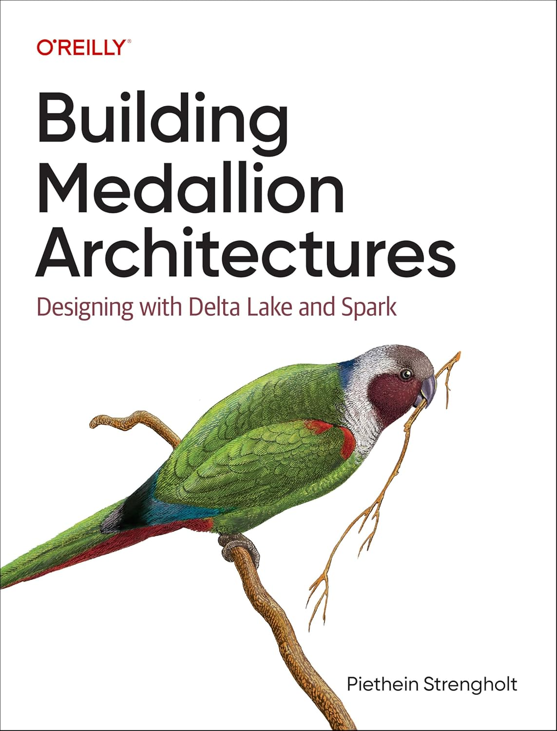 Building Medallion Architectures: Designing with Delta Lake and Spark image number 1