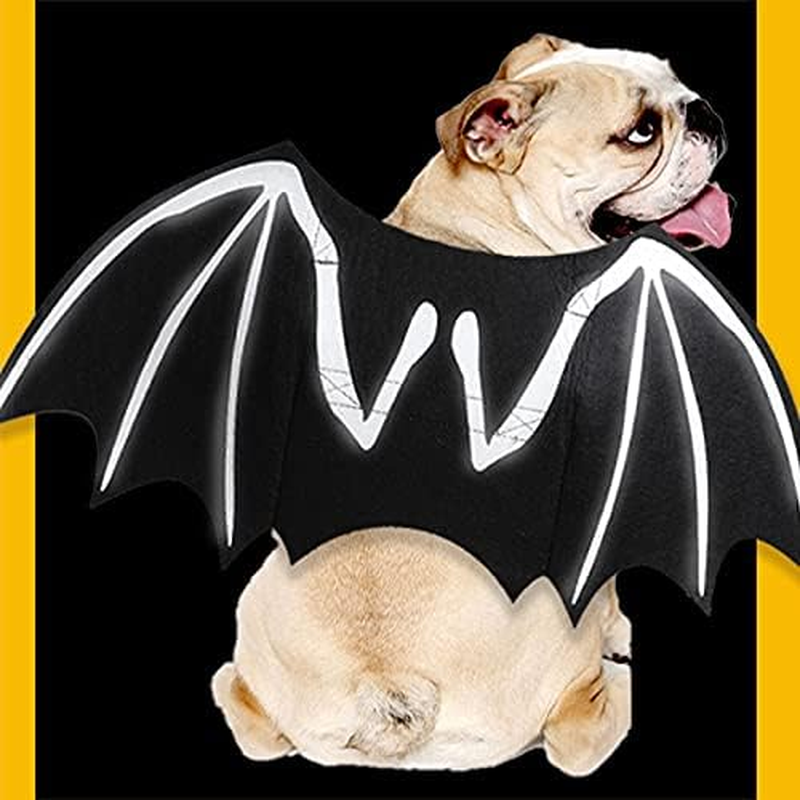 Dog Bat Costume Dog Wing Dog Halloween Costumes for Dogs, Dog Cat Bat Wings Halloween Pet Bat Wings for Small Medium Large Dogs, Dog Cosplay Costume Halloween Christmas Party (Black, L) image number 6
