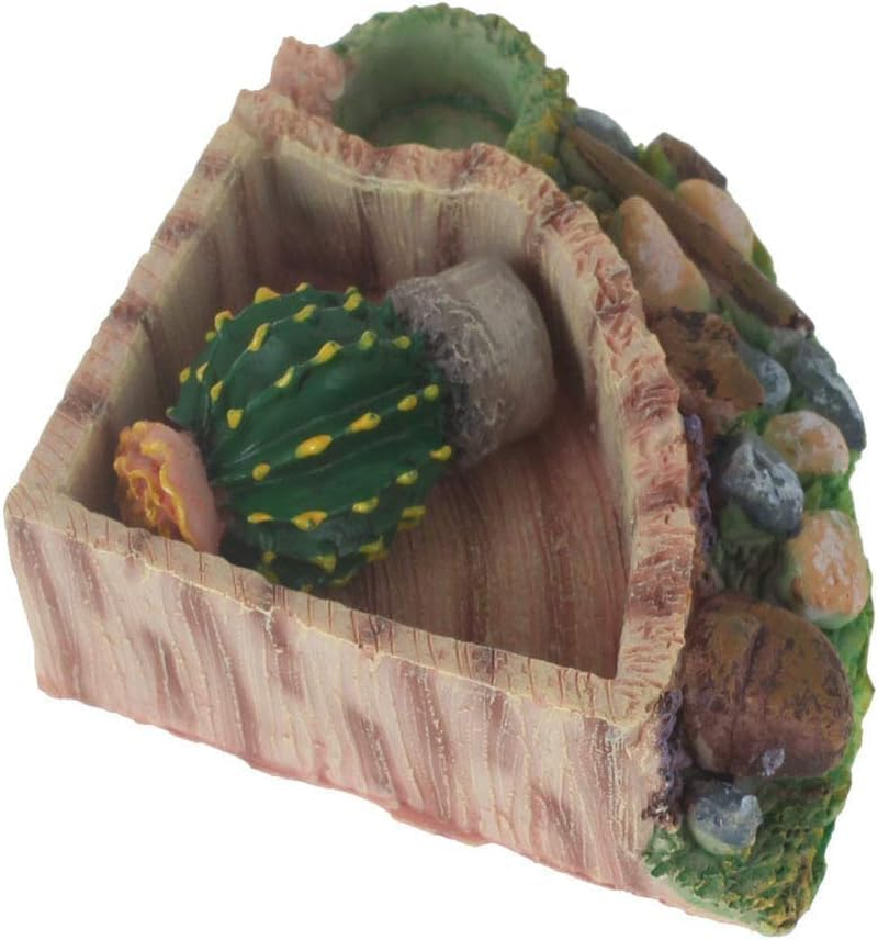 Reptile Amphibian Tortoise Lizard Frog Water Dish Food Feeder Cactus Corner Bowl (Style1, One Size)