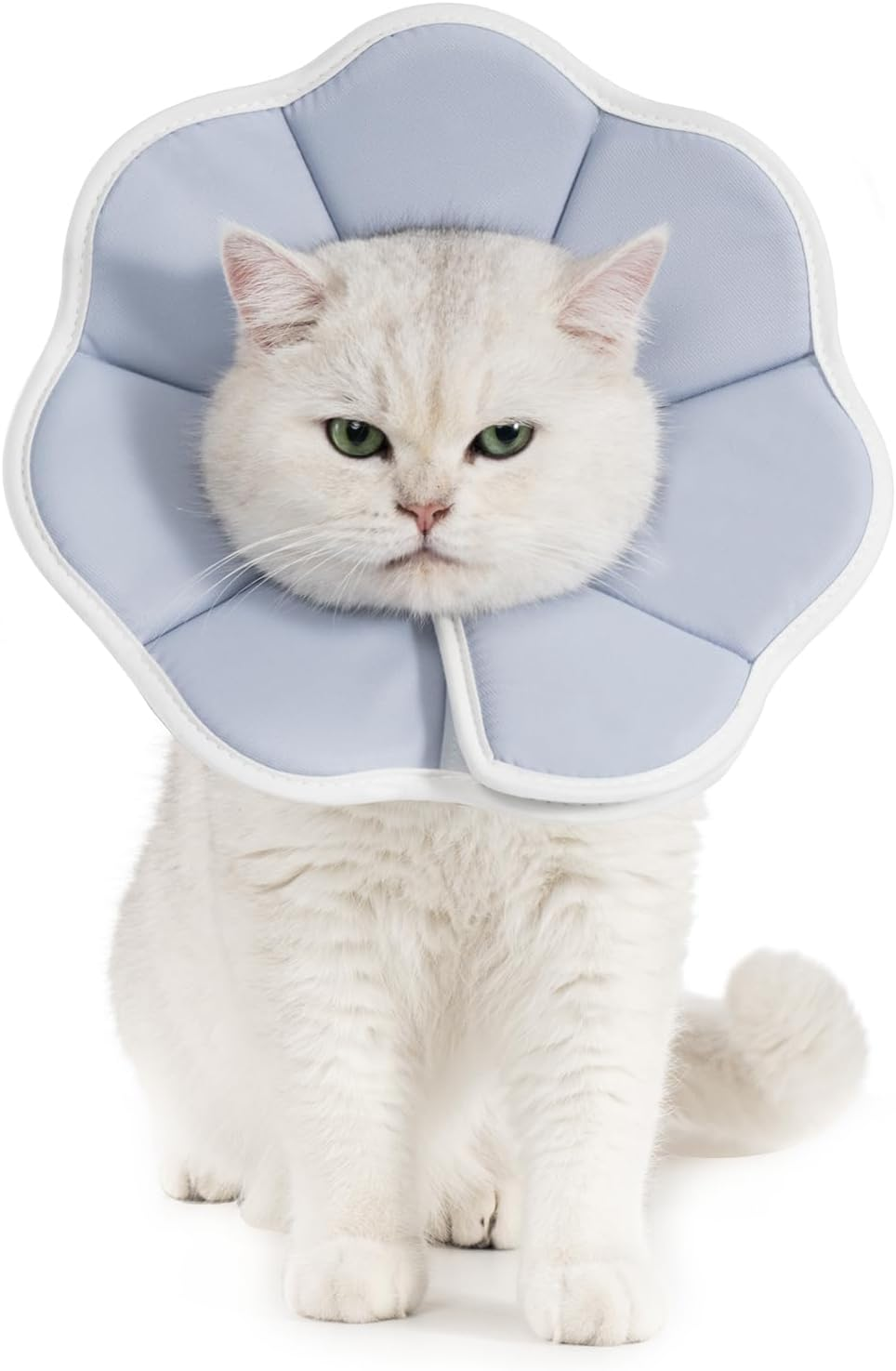 Avont Soft Cat Recovery Cone Collar, Adjustable Cat Elizabethan Collar for Cats and Small Dogs, Comfortable Cone to Stop Licking after Surgery, Lightweight Twill Fabric E-Collar -Skate(M)