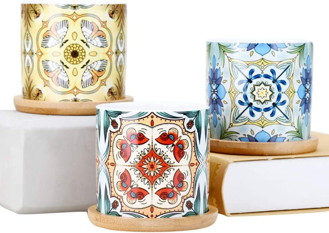 Sun-E Plants Succulent Pots Cactus Pot Mini Plant Planters Decorative Ceramic Planter Gift Idea Indoor Flower Pots with Drainage Home Office Decorations Dragonfly-Butterfly -Moth Series 3PCS image number 1