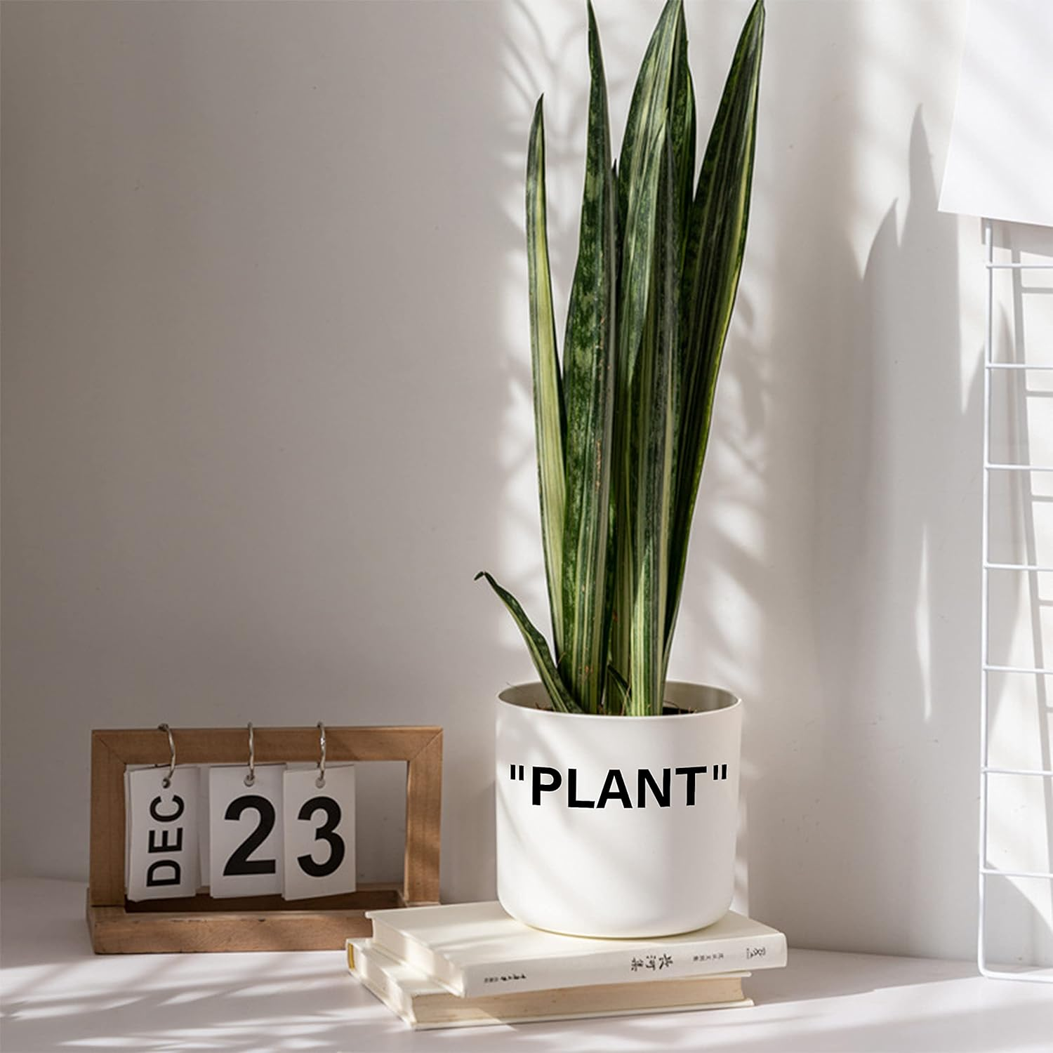 Twodays Off-White Inspired Sneaker Planter, Hypebeast Room Decor, Small 5 Inch Cylinder White Plastic Indoor Plant Pot with Built in Drainage Hole, Mini Flower Pot, Sneakerhead Gift. image number 5