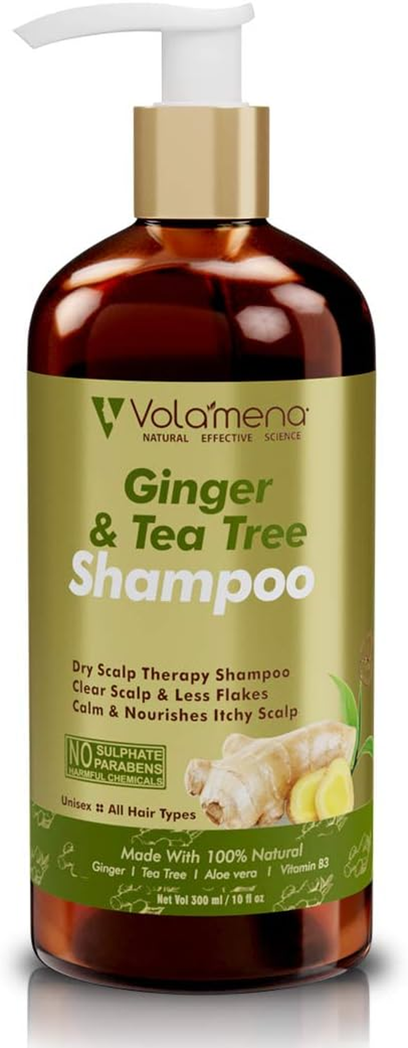 VOLAMENA with DEVICE Ginger & Tea Tree Shampoo with anti Dandruff Active Ingredients 300 Ml 10 Fm Oz