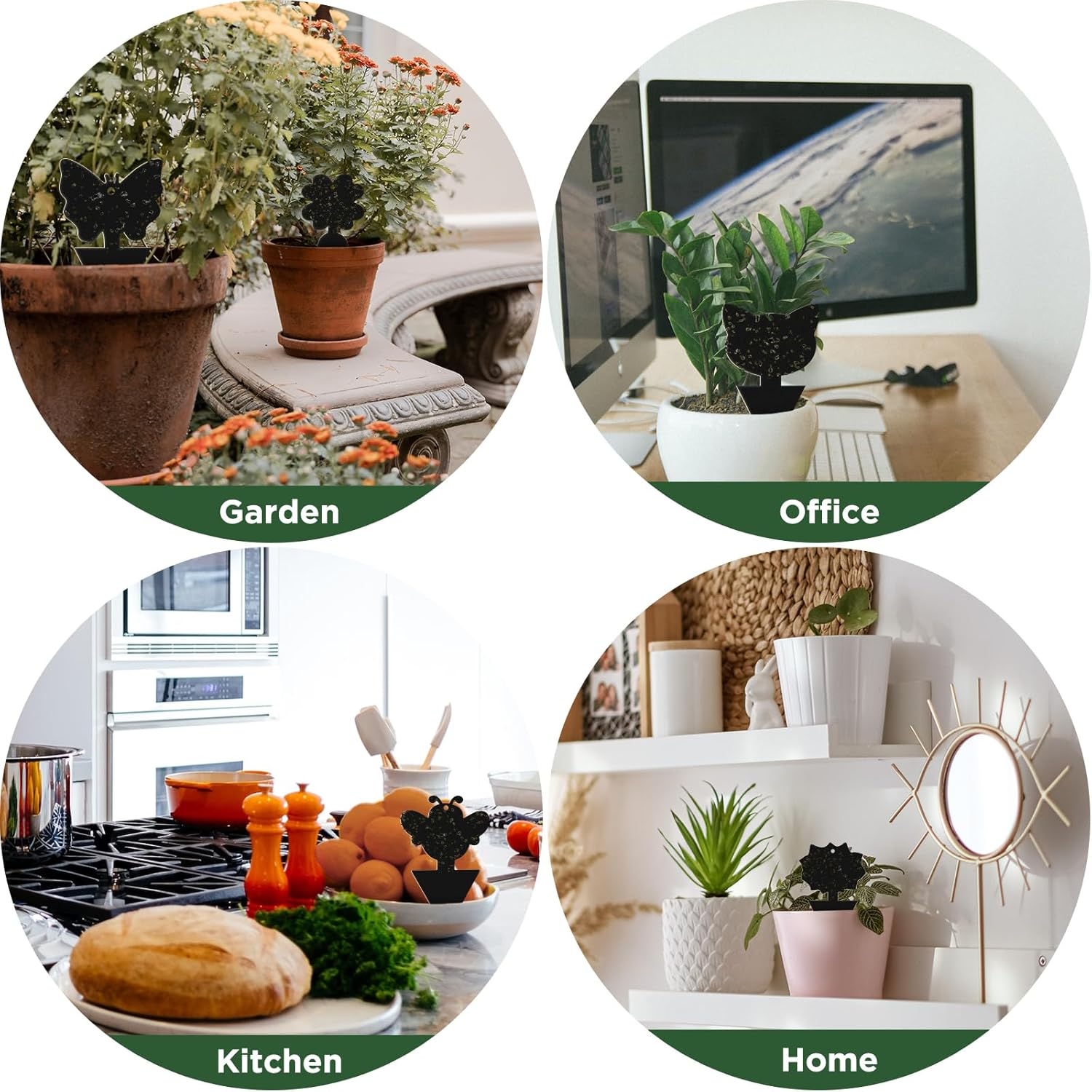 50 PCS Sticky Traps, KIKISML Black Dual-Sided Sticky Insect Catcher with Twist Ties Fruit Fly Fungus Gnat Trap Killer for Whiteflies Mosquitos Fungus Aphids Leafminers Indoor Outdoor Use, Black image number 3