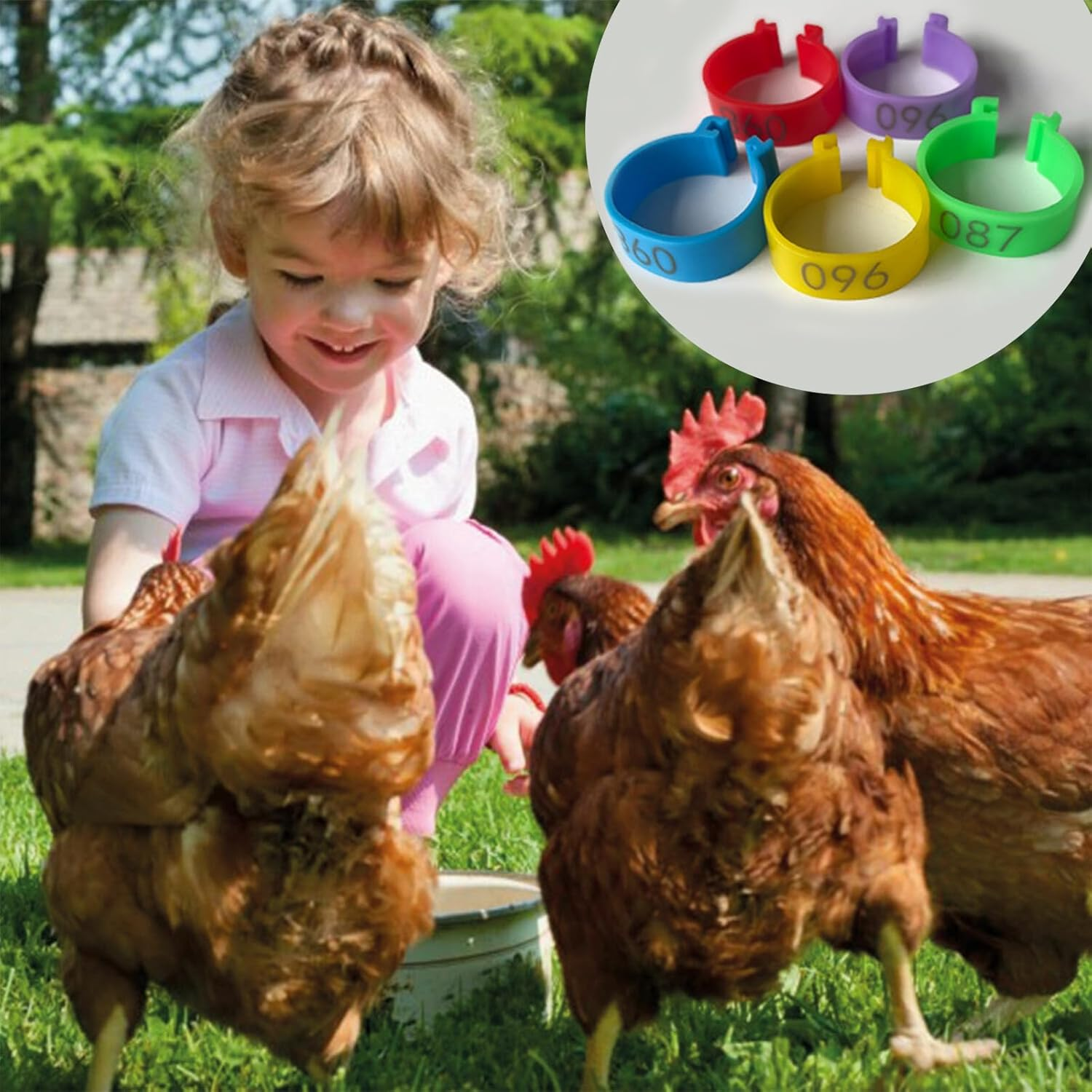 Zalizr 100 Pcs Chicken Leg Bands, 20Mm Colorful Numbered Poultry Identification Tags, Durable Plastic Leg Bands for Chickens, Ducks, Geese, Turkeys, and Gamefowl image number 4