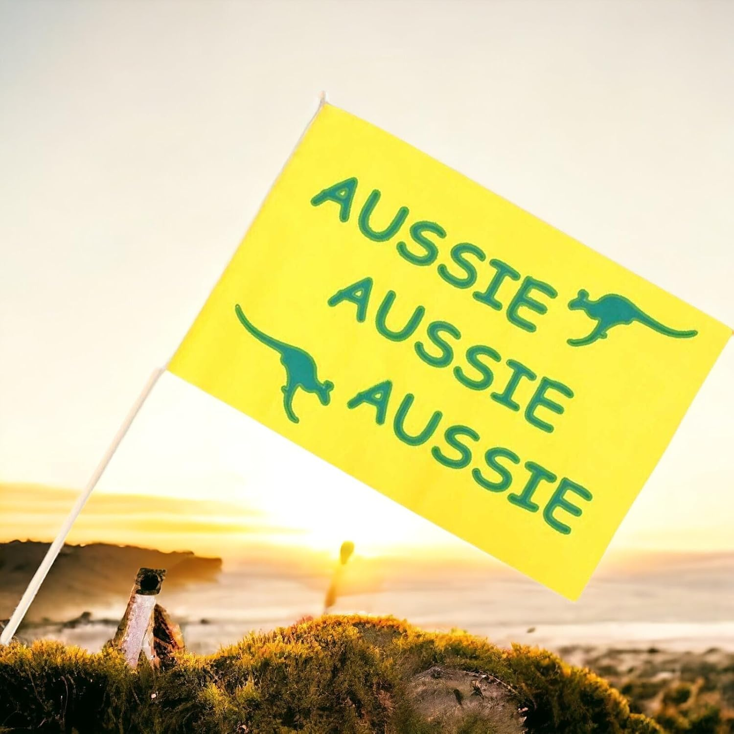 2 Pack Aussie Handheld Flag 44Cm X 29Cm Australian Olympics Home Decor Sport Decor Australia Day image number 2