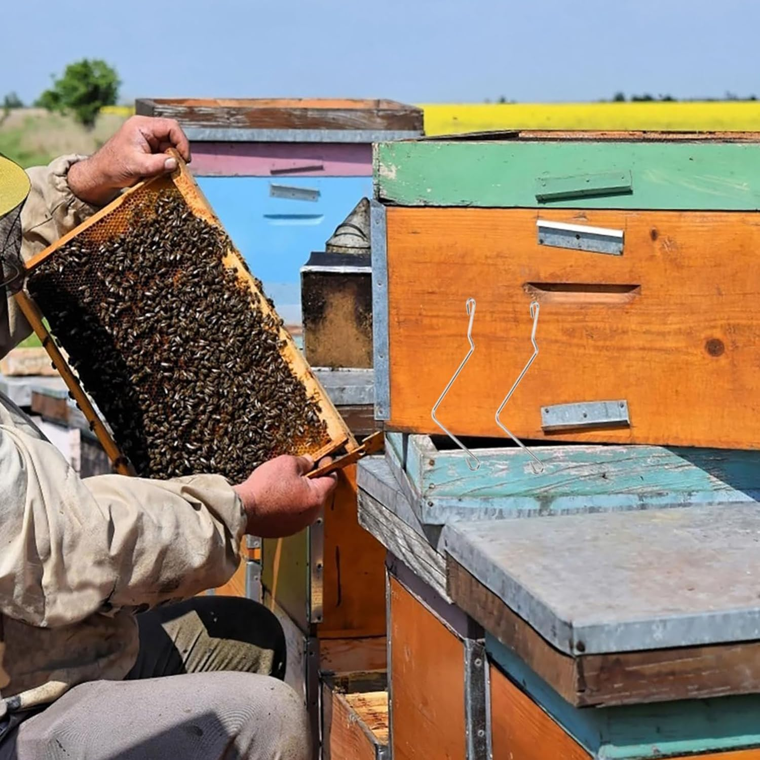 10PCS Beehive Frame Spring Clamps, Durable Bee Hive Connectors for Quick Frame Assembly, Secure Holding Beekeeping Supplies for Beekeepers (15.50X3.50X0.30) image number 1