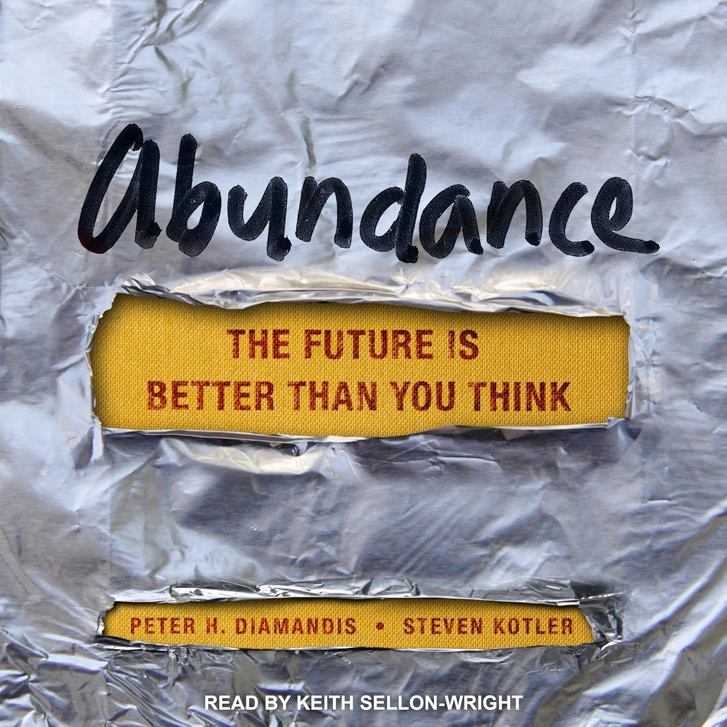 Abundance: the Future Is Better than You Think image number 3
