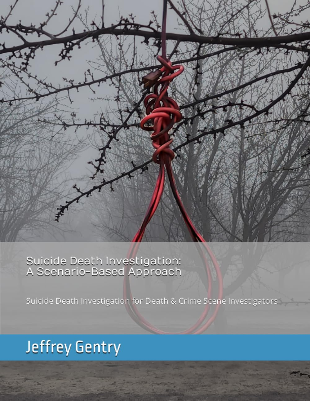 Suicide Death Investigation: a Scenario-Based Approach: Suicide Death Investigation for Death & Crime Scene Investigators image number 1
