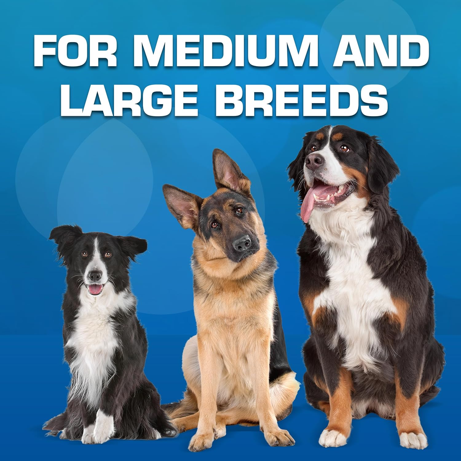 Nerf Dog Classic Ball Dog Toy with Interactive Squeaker, Lightweight, Durable and Water Resistant, 3.8 Inches, for Medium/Large Breeds, Two Pack, Green and Red image number 7