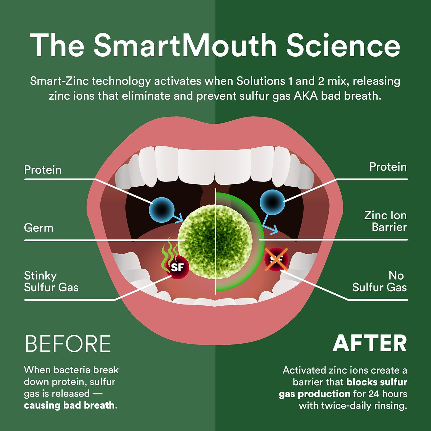 Smart Mouth Mouthwash, Fresh Mint - 16 Oz - 2 Pk image number 5