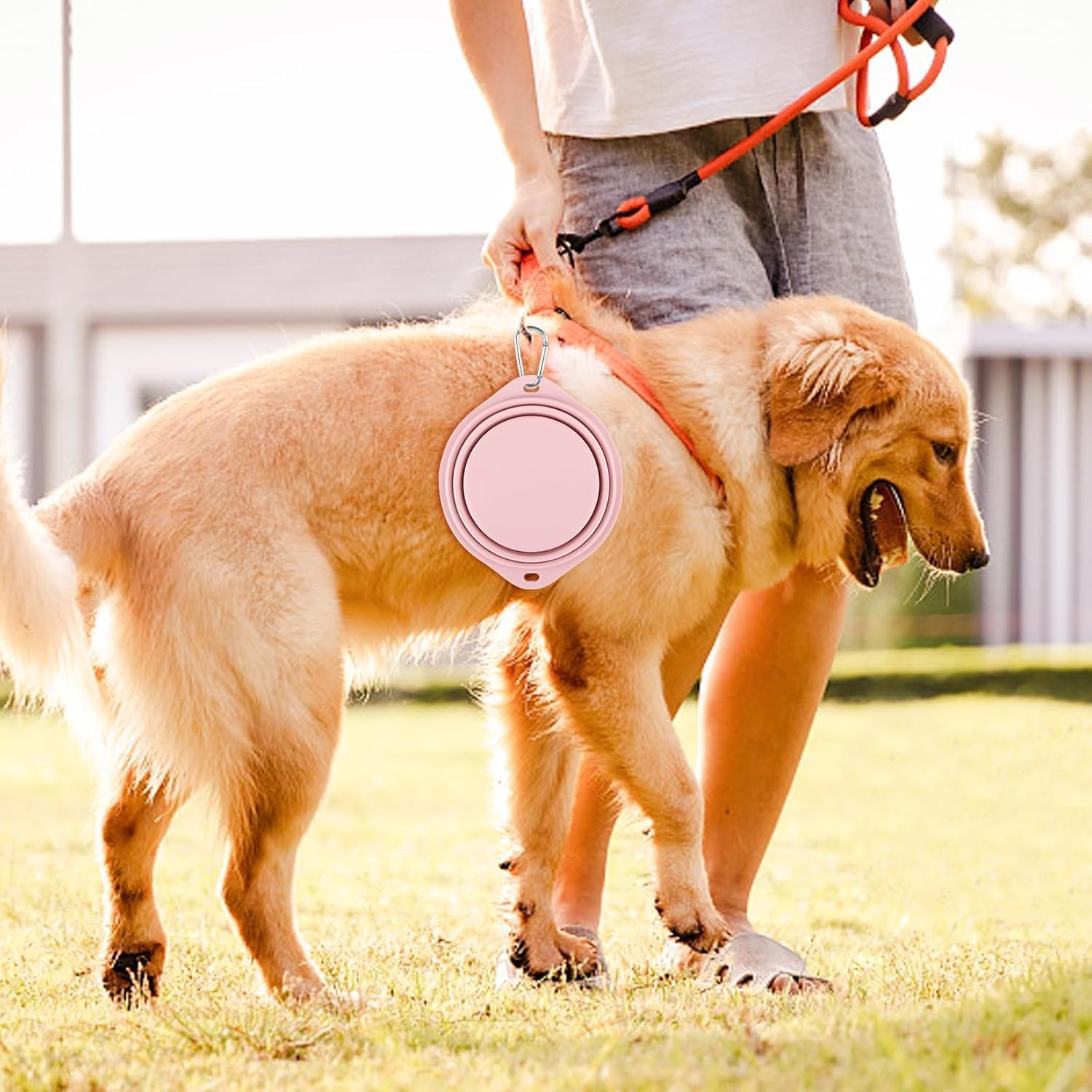 Pack of 2 Foldable Travel Bowls, Leak-Proof Dog Bowls, Foldable Silicone Water Bowl for Dogs on the Go and Pets for Water and Food (Pink, Blue)