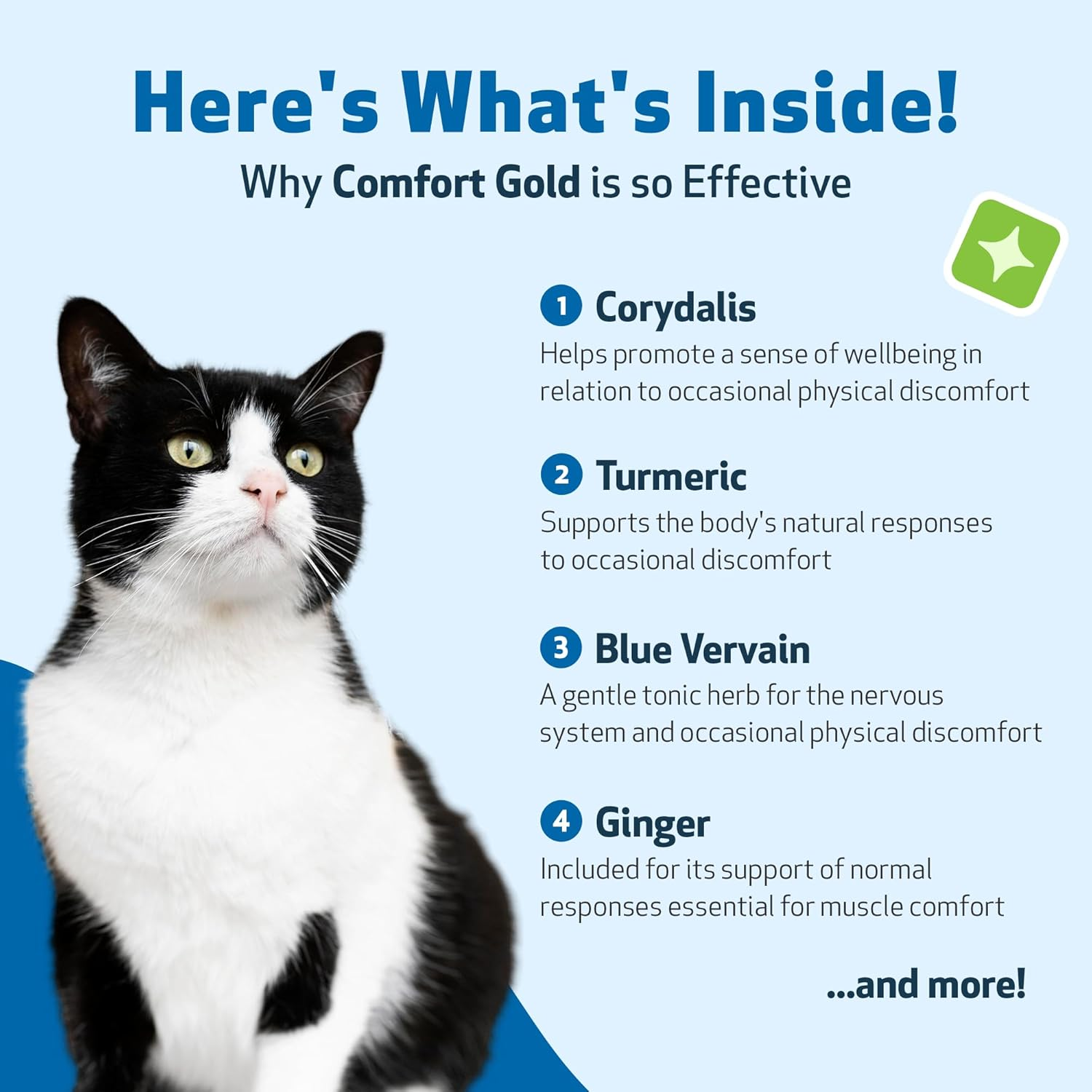 Pet Wellbeing Comfort Gold for Cats - Supports Feline Physical Comfort, Healthy Circulation, Corydalis, Turmeric - Veterinarian-Formulated Herbal Supplement 2 Oz (59 Ml) image number 5
