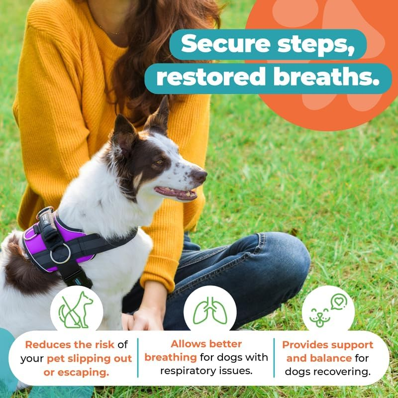 Joyride Harness 2.0 - the Original Side Ring No Pull Dog Harness - No Choke, Escape Proof, Reflective, 3 Leash Clips, Quick Fit Pet Vest - Easy Walks & Training - for Small, Medium & Large Dogs image number 5