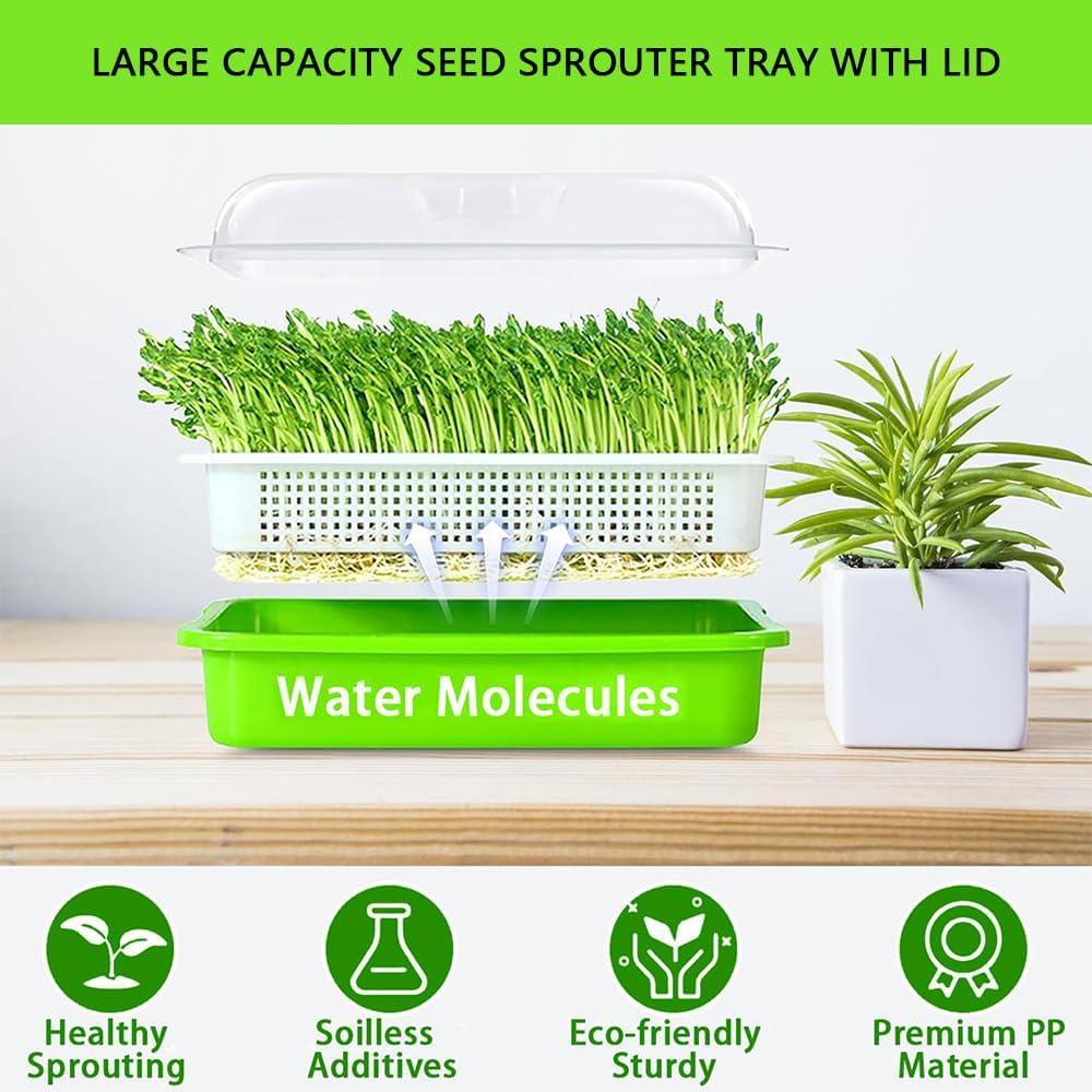 HYAVIA Seed Sprouter Tray Kit &ndash; 3-Pack Bpa-Free Soil-Free Sprouting Containers and Drain Tray for Growing Wheatgrass, Beans, Alfalfa, Microgreens &ndash; White & Green image number 6