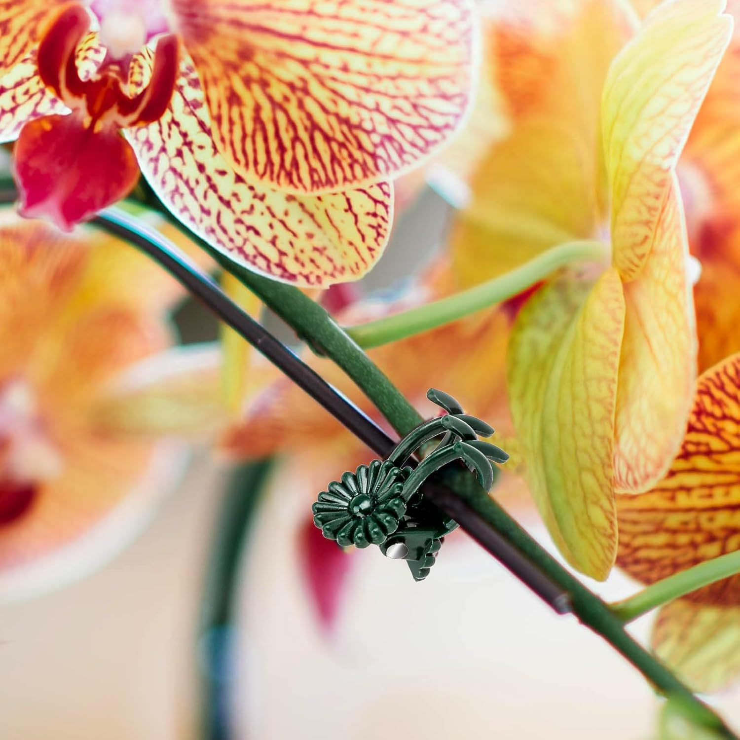 Plants Orchid Support Clips Flower Vine Clips,100Pcs Orchid Clips Plant Support Clips,Orchid Clips Plant Support Clips Garden Clips,Orchid Support Clips Flower Vine Clips,Orchid Clip Garden Plant Clip image number 3