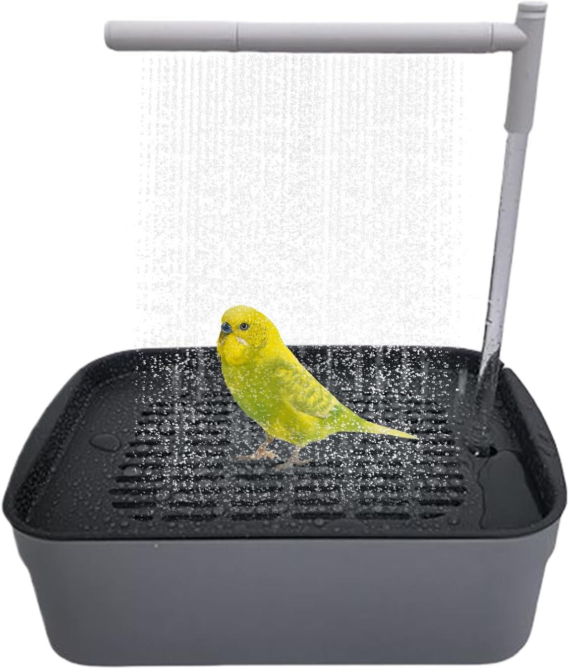 Zuasdvnk Parrot Bathtub | Automatic Bird Bath Parrot Shower | Quiet Tub with Circulating Faucet, Rechargeable Pet Supplies Bathing Accessories for Lovebird Finch Parakeet Conure image number 6