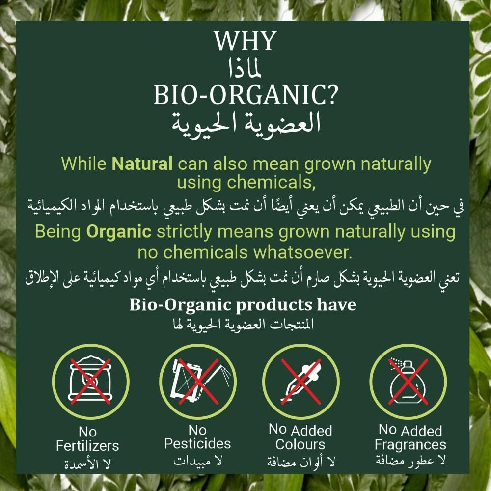 Indus Valley Organic Tulsi Leaf Powder 100G | Ocimum Sanctum | Natural Basil Powder for Skin, Hair & Health | Detox & Cleanse Support image number 5