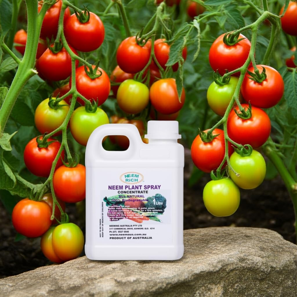Neem Rich Neem Plant Spray Concentrate 1 Litre image number 2