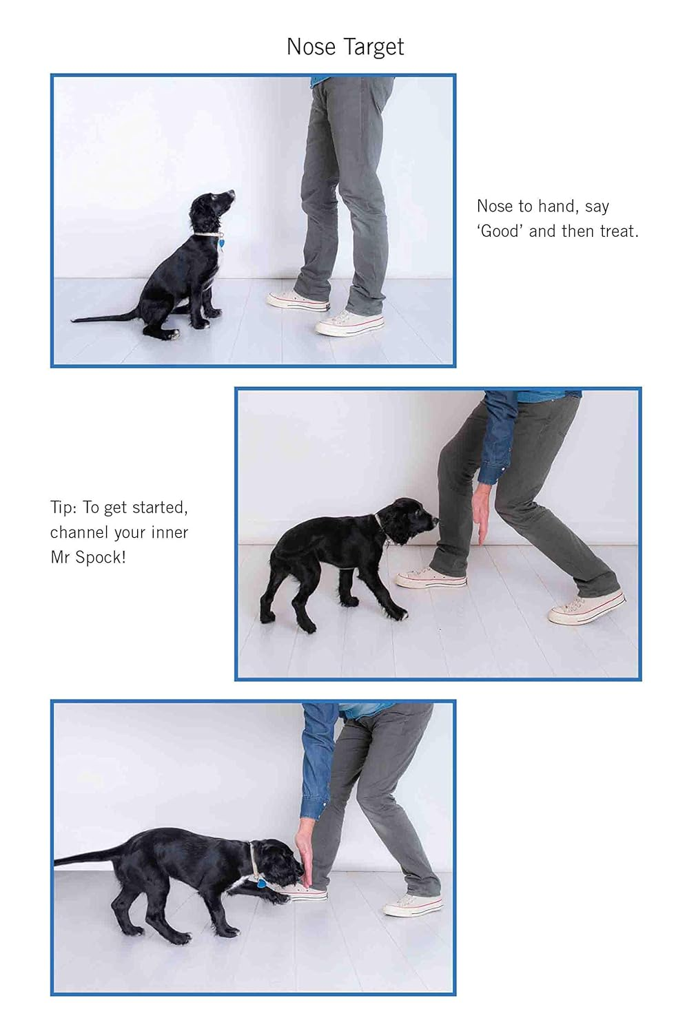 Easy Peasy Puppy Squeezy: Your Simple Step-By-Step Guide to Raising and Training a Happy Puppy image number 4