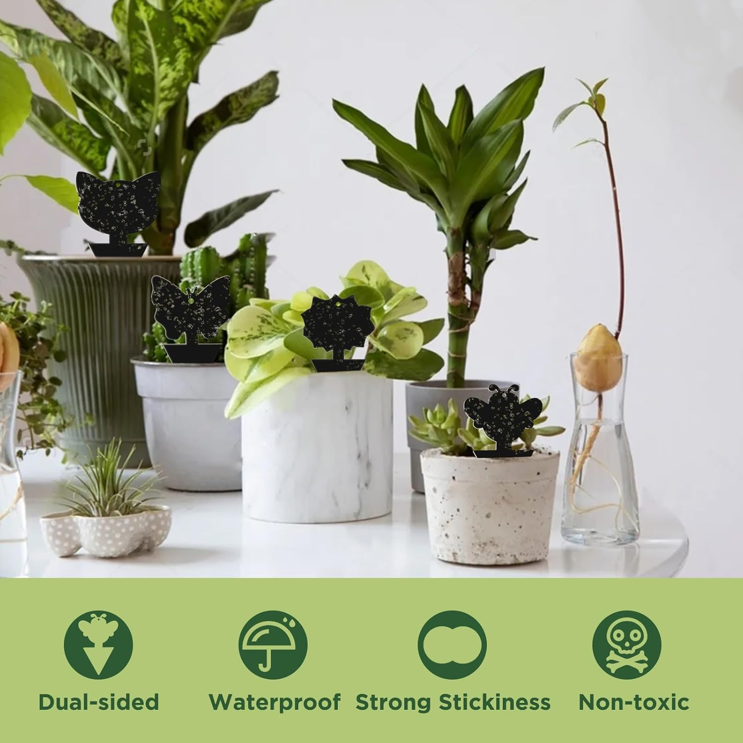 50 PCS Sticky Traps, KIKISML Black Dual-Sided Sticky Insect Catcher with Twist Ties Fruit Fly Fungus Gnat Trap Killer for Whiteflies Mosquitos Fungus Aphids Leafminers Indoor Outdoor Use, Black