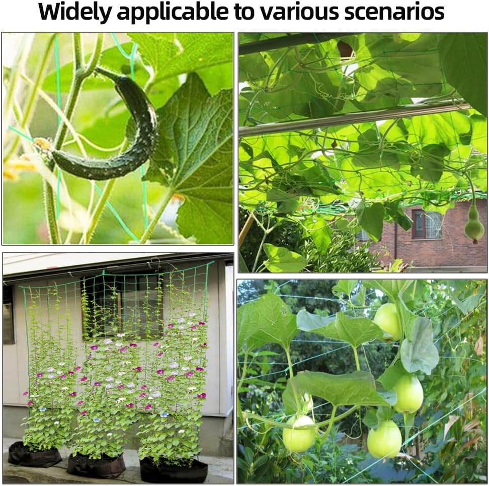 Skycabin 1.7X 4 M Plastic Pea and Bean Netting Fence Trellis Netting Green Climbing Netting Support for Climbing Plant, Fruits, Vegetables, Vines, Grow Tents image number 5