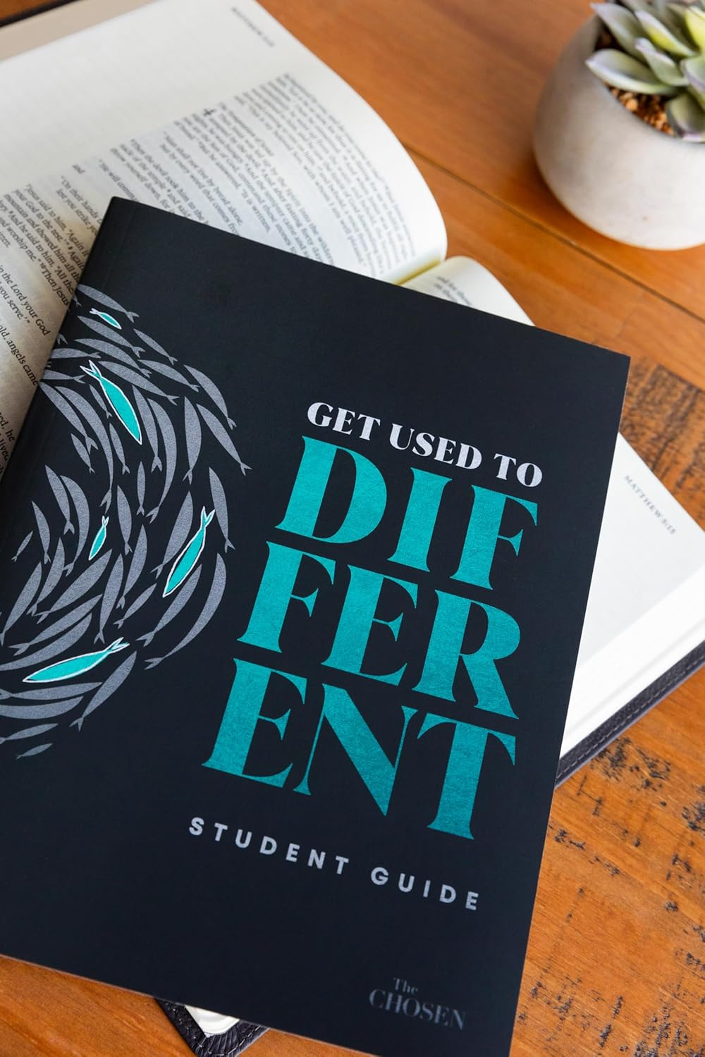 Get Used to Different image number 5