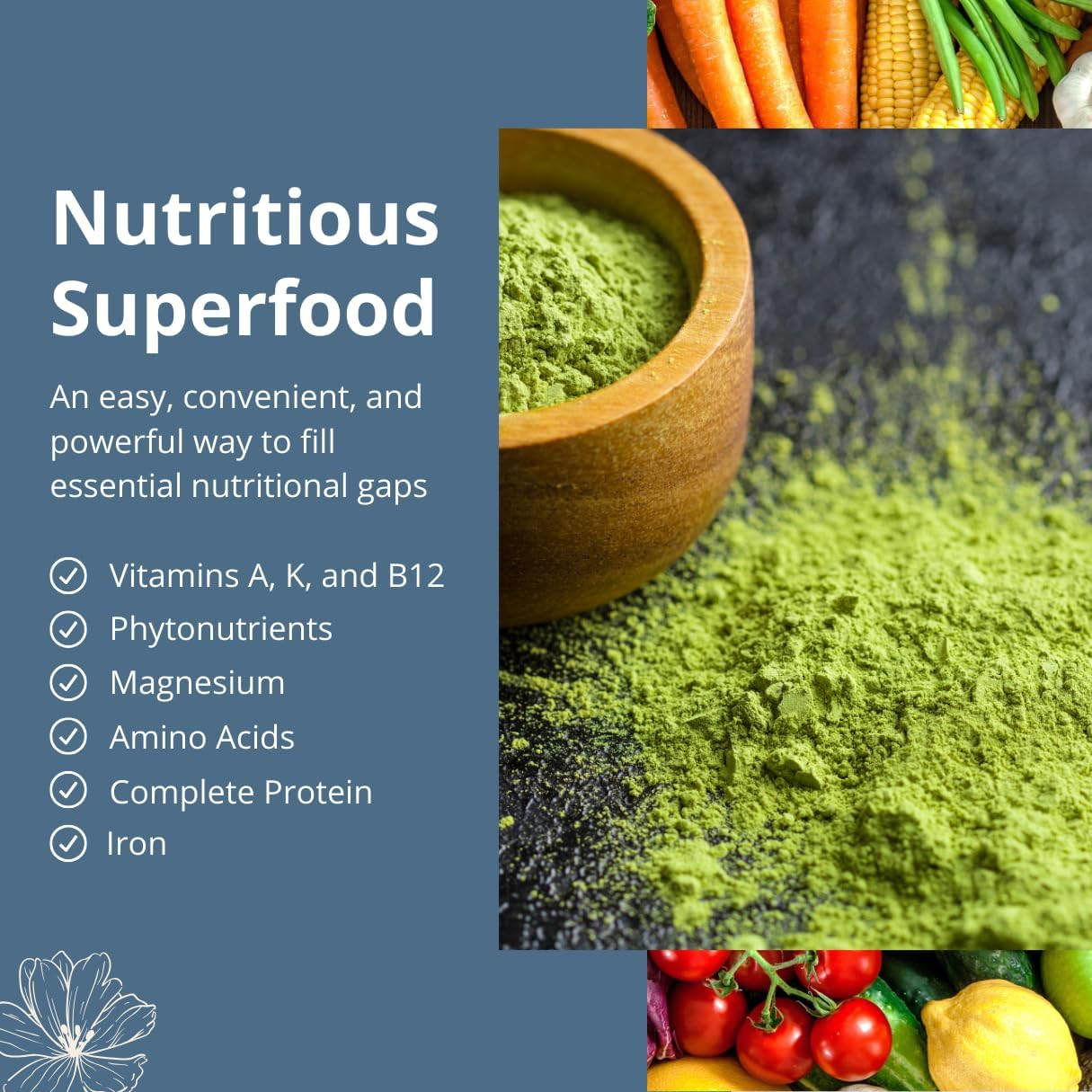 Nutrex Hawaii Pure Hawaiian Spirulina Pacifica 16 Oz 454 G