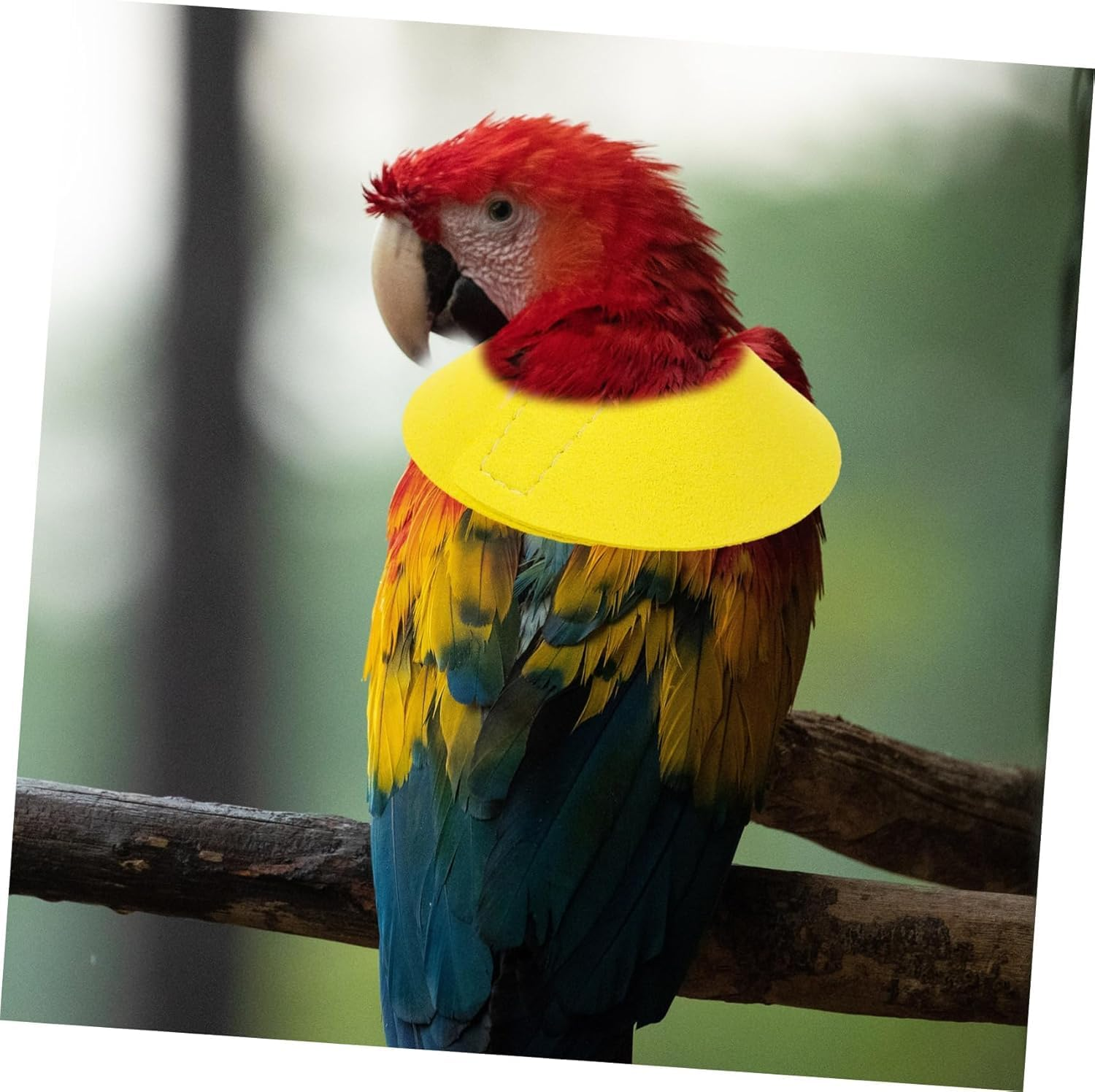 Prevent Plume Plucking Bird Collars, 1Pc Parrot Neck Collar Bird Anti-Bite Collar,Microfiber Leather Bird Neck Protective Cone,Parrot Collars Protective Neck Ring Bird Collar,Yellow - Pink image number 2