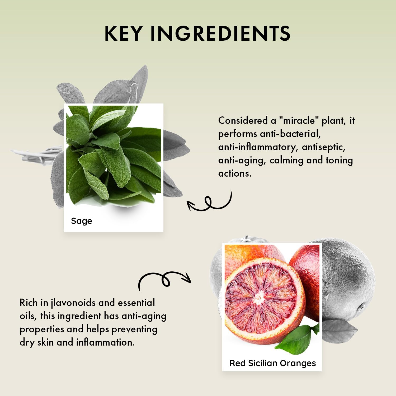 Naturica Soothing Shampoo Sensitive and Dandruff Prone Hair and Scalp with Red Sicilian Orange, Sage and Thyme Extracts - 250Ml image number 4