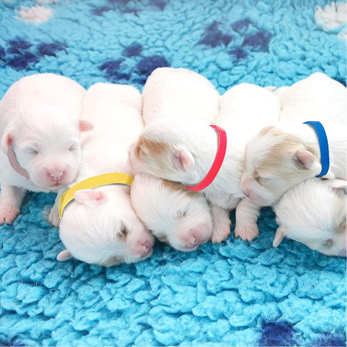 15 Colors Puppy ID Collars Whelping Newborn Soft Fabric Adjustable Identification Double-Sided Collar Reusable for Pet Dog Band Cat 10 Inches image number 3