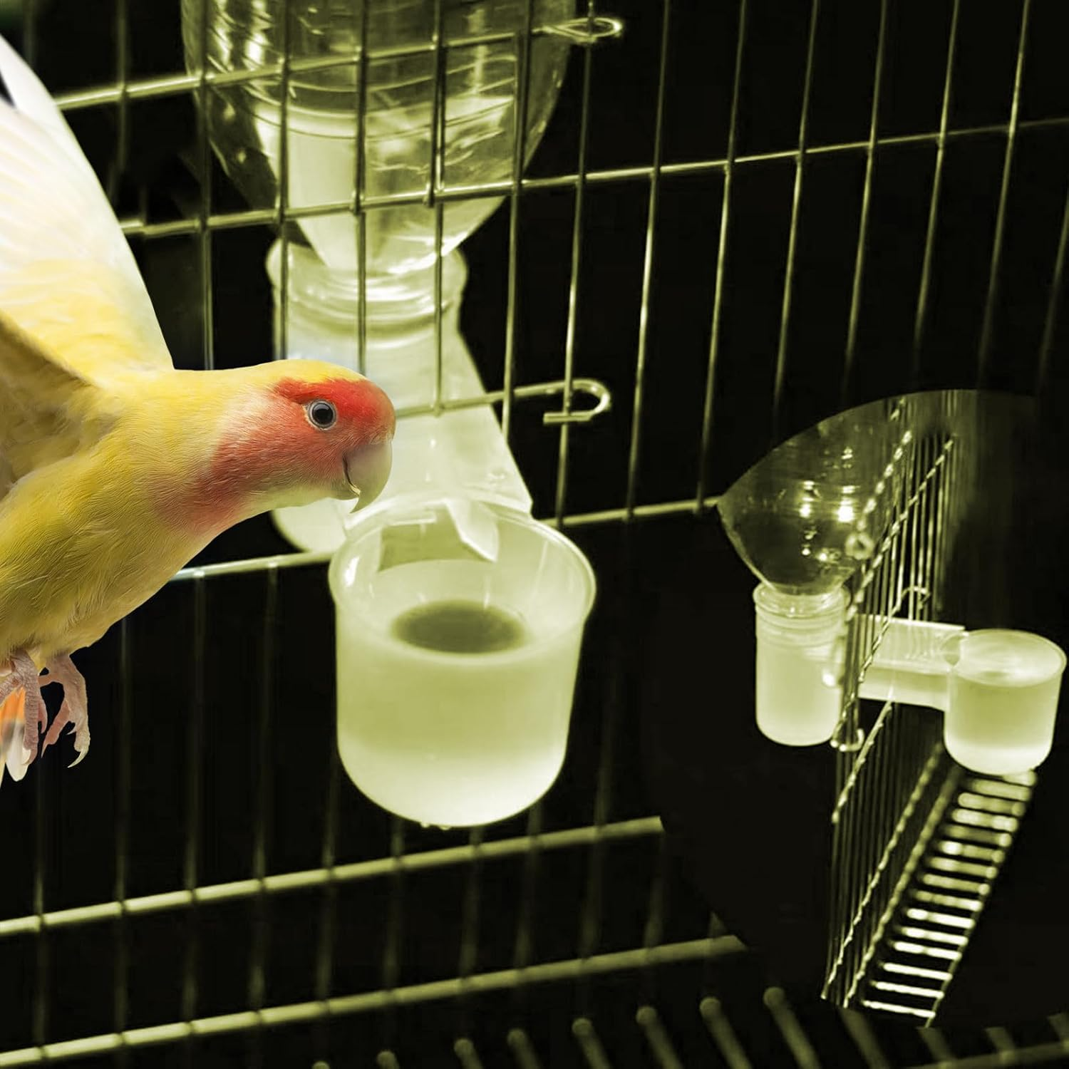 Weqizuerqi Soda Pop Water Bottle Cup, Parrot Bird Water Feed, Drinker Feeder, Water Clip for Parrots, Safe Scientific Double Port Design Device for Pigeon Chickadees image number 3