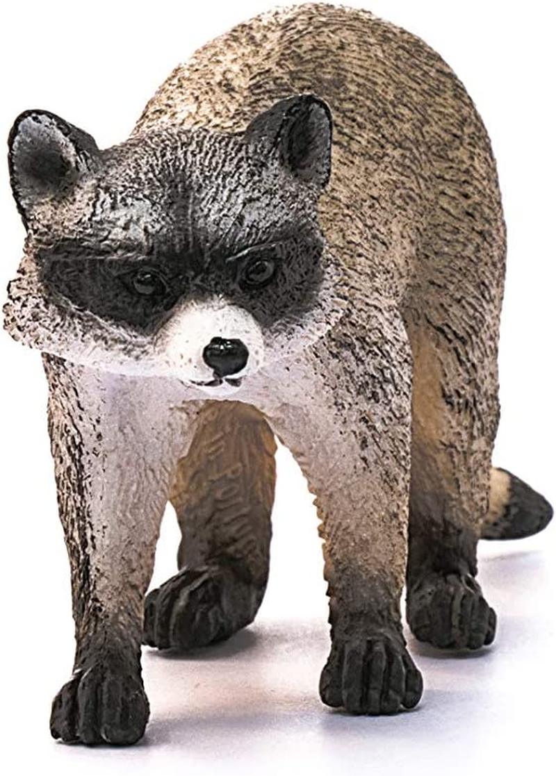 Schleich Wild Life, Animal Figurine, Animal Toys for Boys and Girls 3-8 Years Old, Raccoon, Ages 3+ image number 1