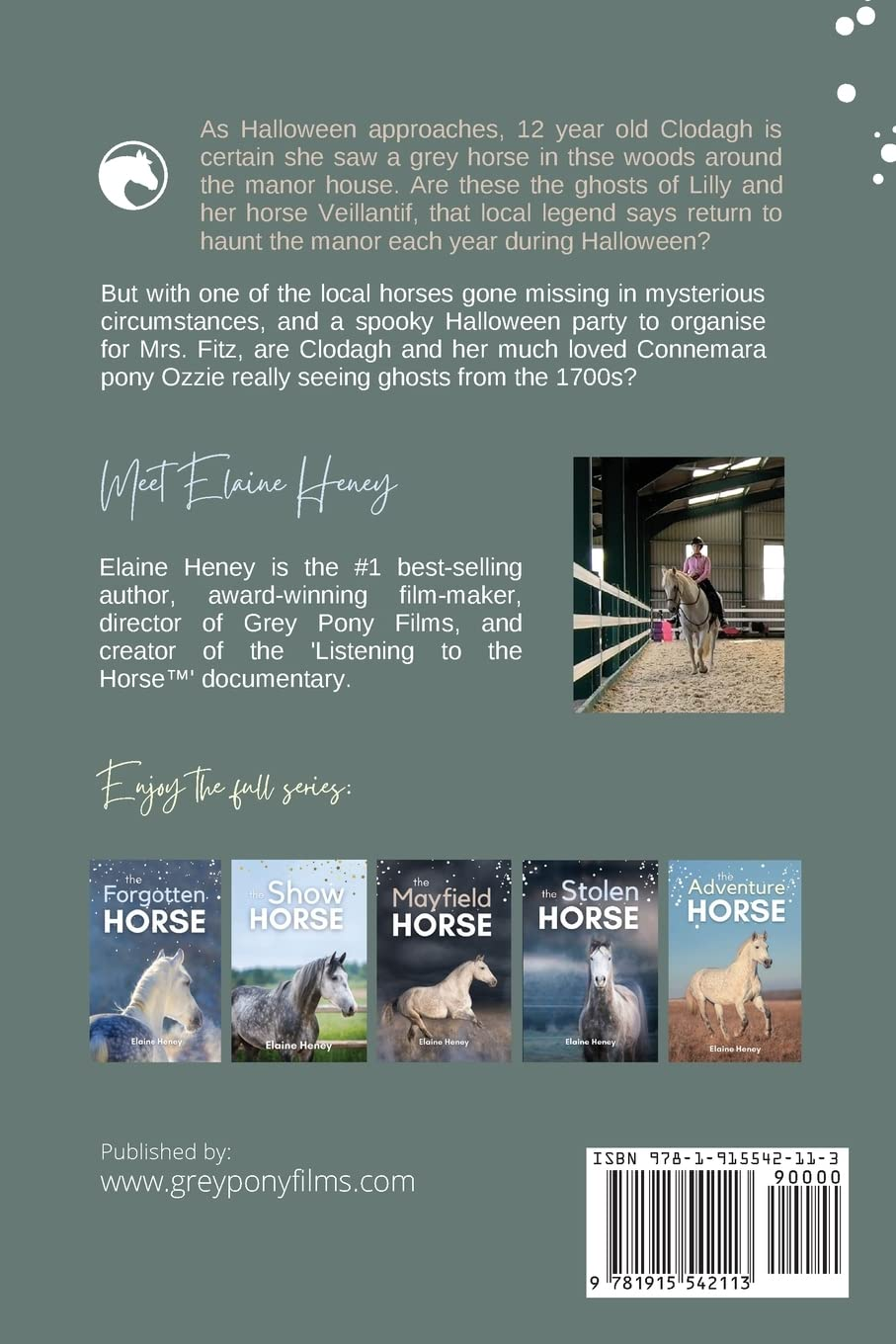 The Lost Horse - Book 6 in the Connemara Horse Adventure Series for Kids | the Perfect Gift for Children Age 8-12 image number 1