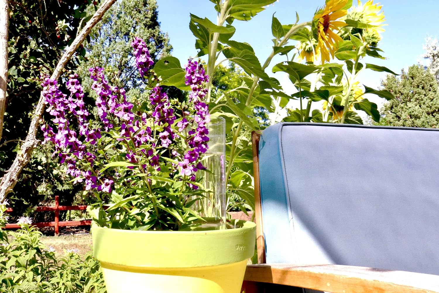 Blumat Bottle Adapters | Plant Watering Stakes | Fits 1 and 2 Liter Bottles | Use When on Vacation | 3 Pack image number 4