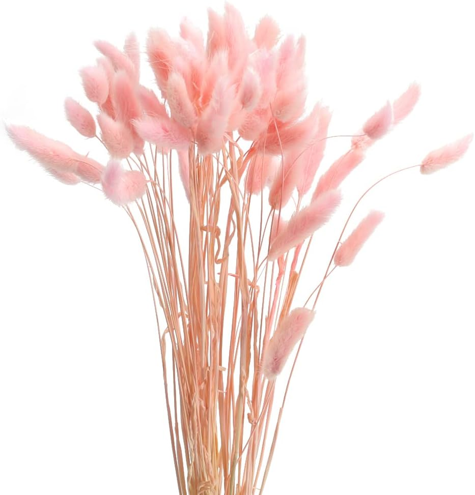 XHXSTORE 60Pcs Pink Pampas Grass Dried Flowers Bouquet for Home, Garden, Wedding, DIY Craft, Farmhouse Table Decor (17")