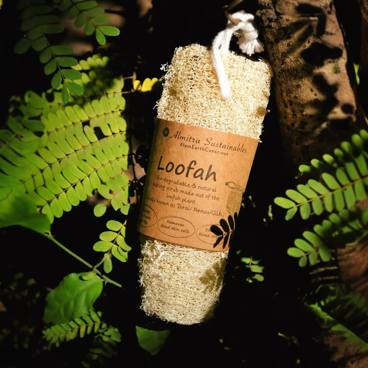 Almitra Sustainables Loofah Sponge &ndash; Natural Bathing Scrub Pack of 3 image number 3