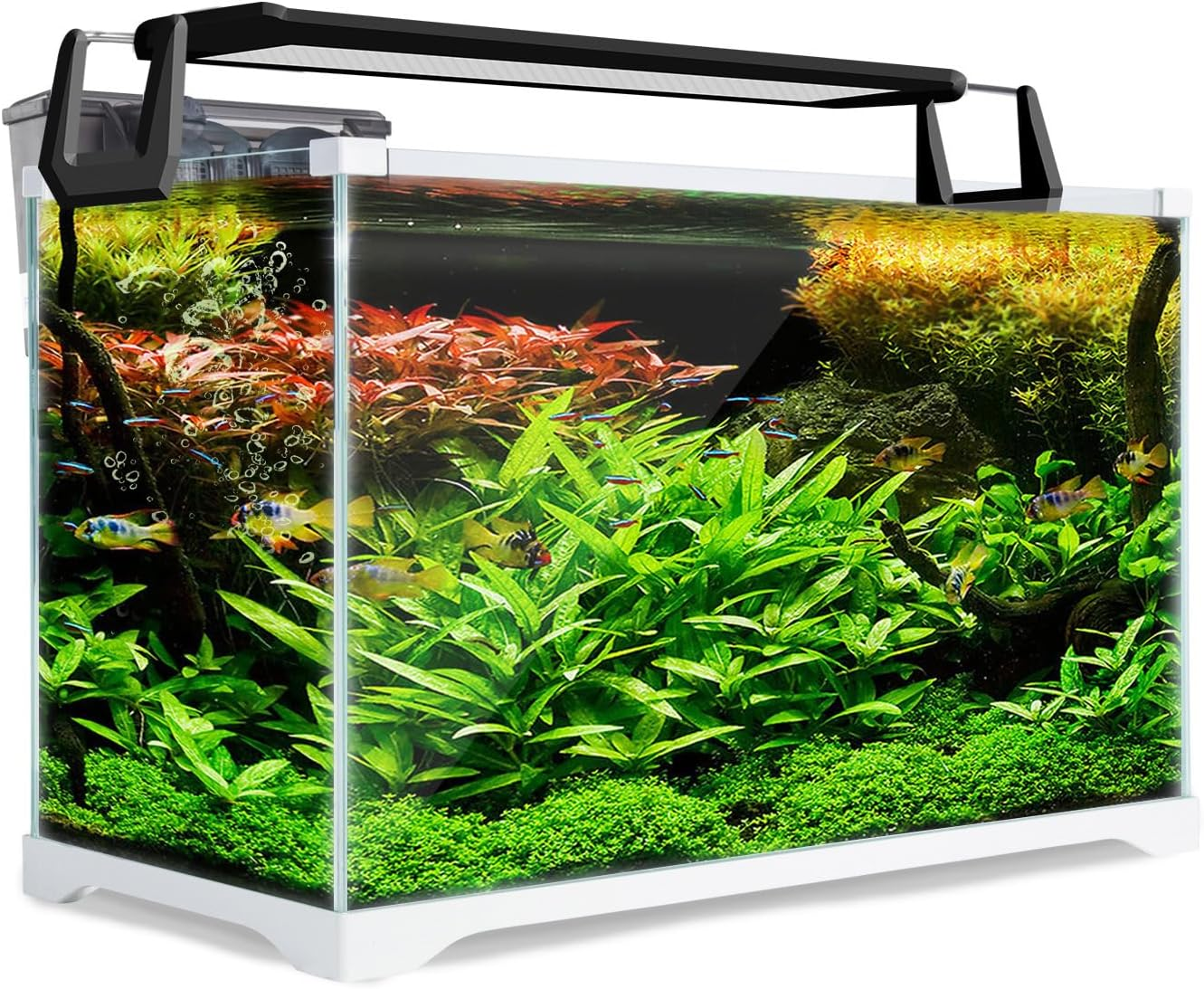 Dynamic Power 30L Curved Glass Aquarium Fish Tank with 5W RGB LED Light, 2.5W Filter Pump, Hinged Hood, Complete Filtration System, Freshwater & Saltwater Compatible