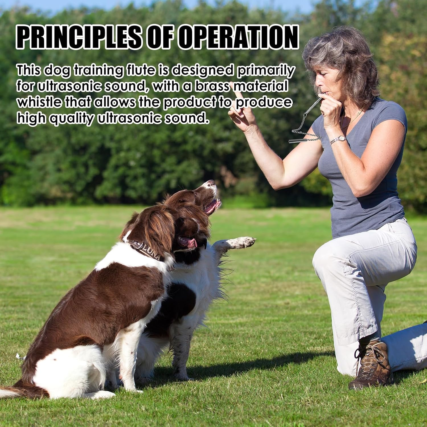 Hioip Dog Whistles for Recall, Dog Training Whistle with Chain, Dog Whistle to Stop Barking with Far Reaching Sound, High Frequency Long Distance Dog Recall Whistle for Most Dogs image number 5