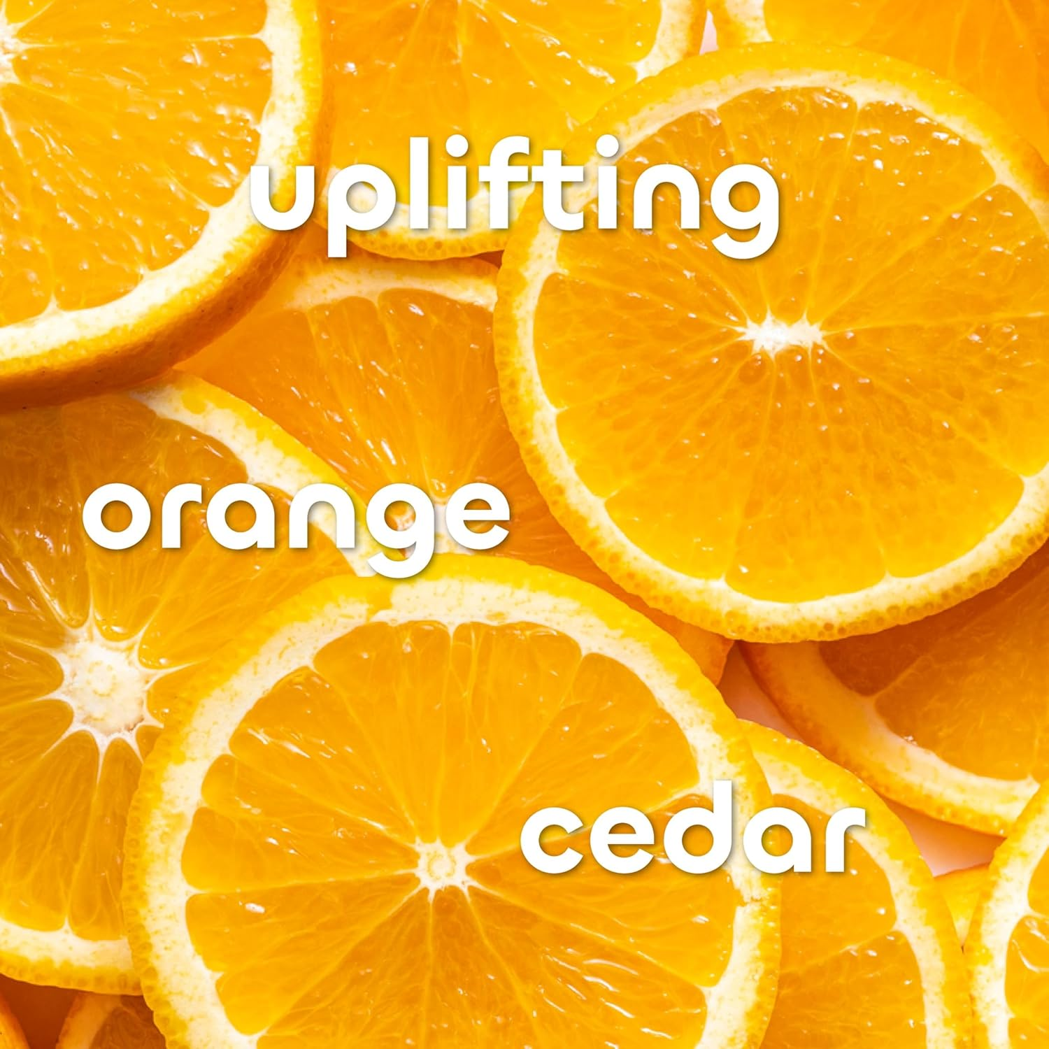 Seaweed Bath Co. Detox Body Wash, Orange Cedar Scent, 12 Ounce, Sustainably Harvested Seaweed, Spirulina, French Sea Clay image number 6